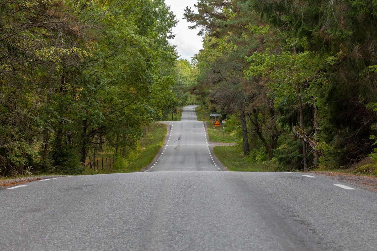 Grönskande inramning på Adelsös slingrande vägar