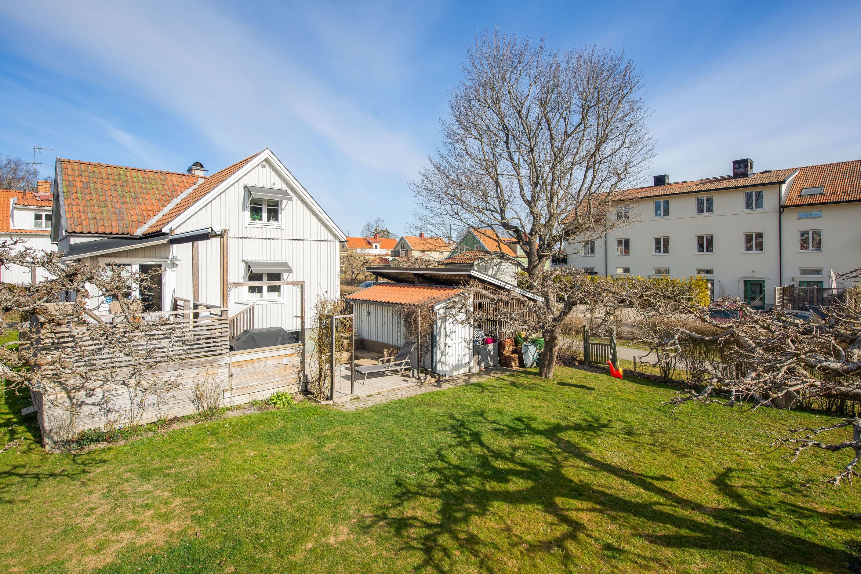 Stor och plan tomt med äppelträd