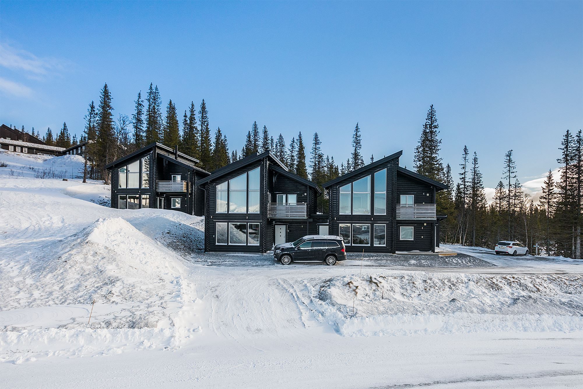 Copperhill 20