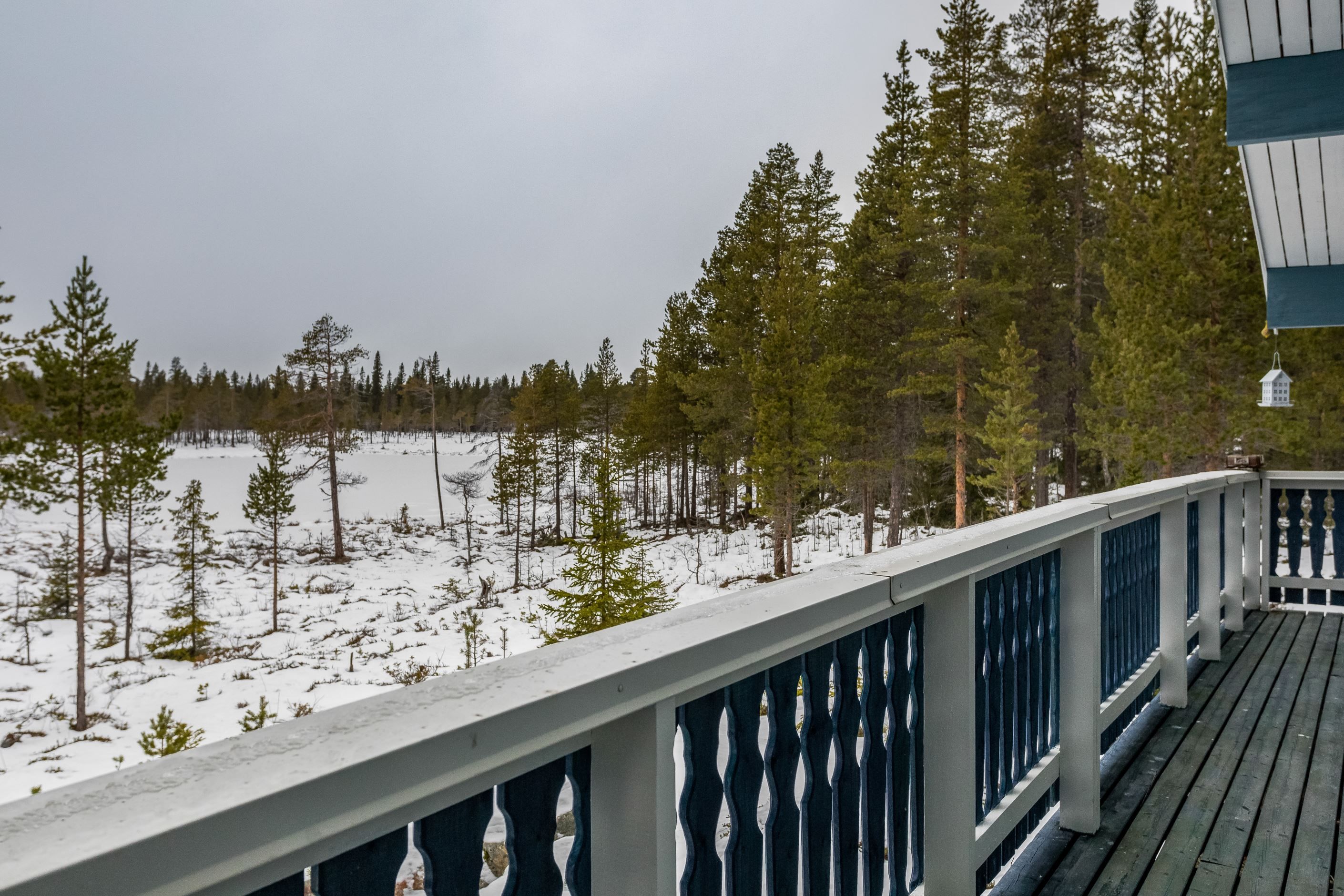 Utsikt över skogstjärn