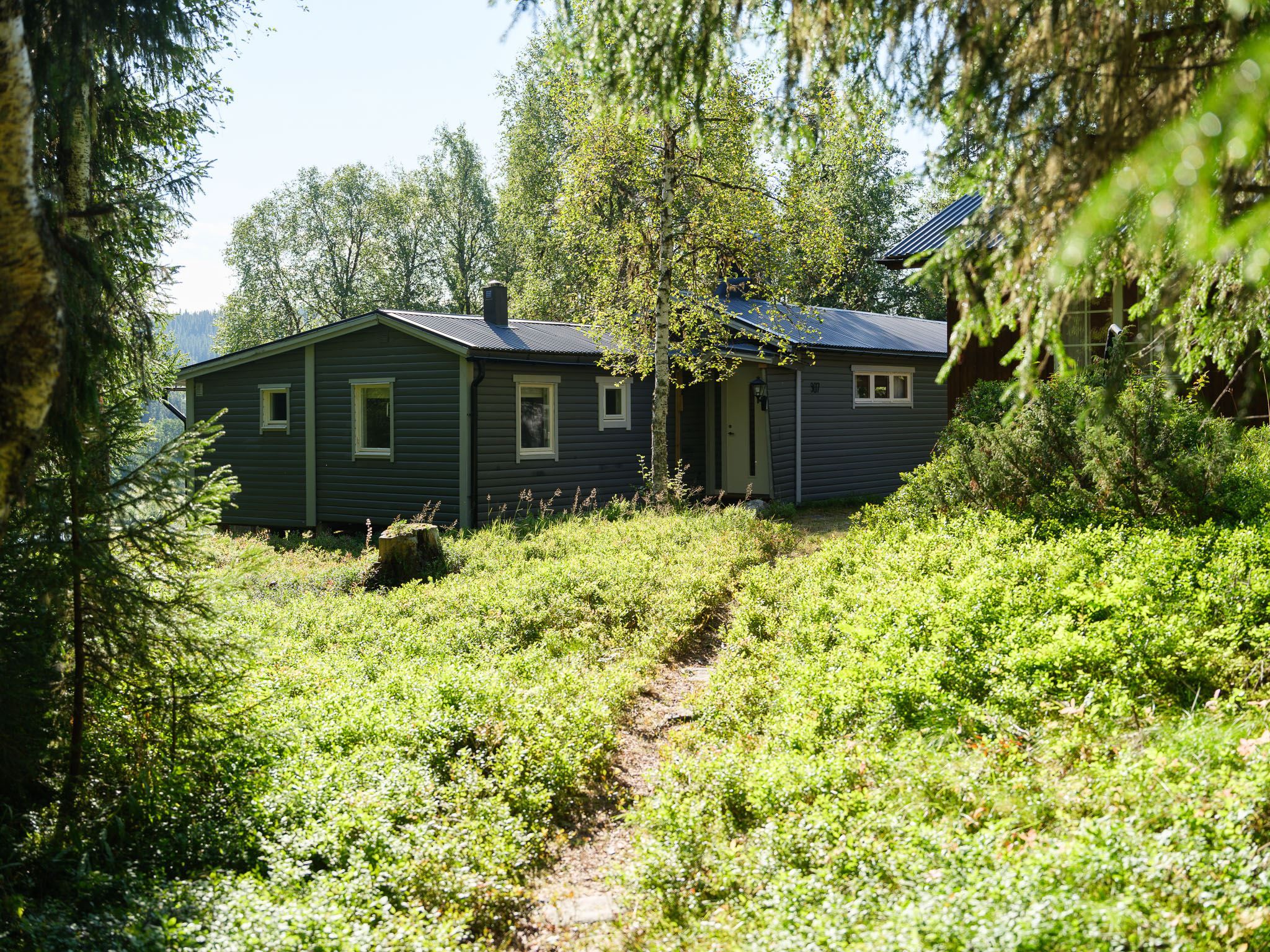 34 Stigen in på tomten