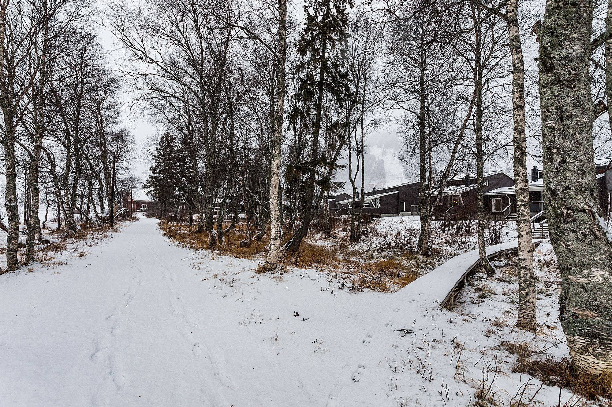 Omgivningen bakom husen