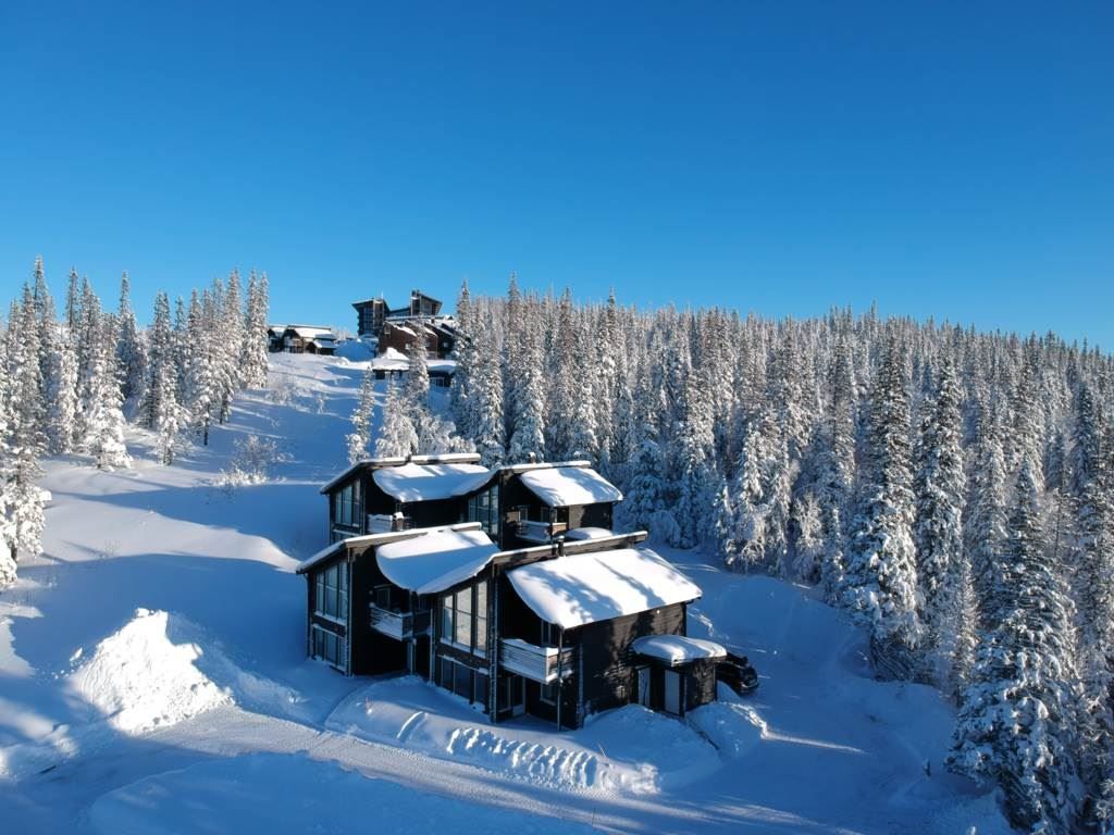 Copperhill 20