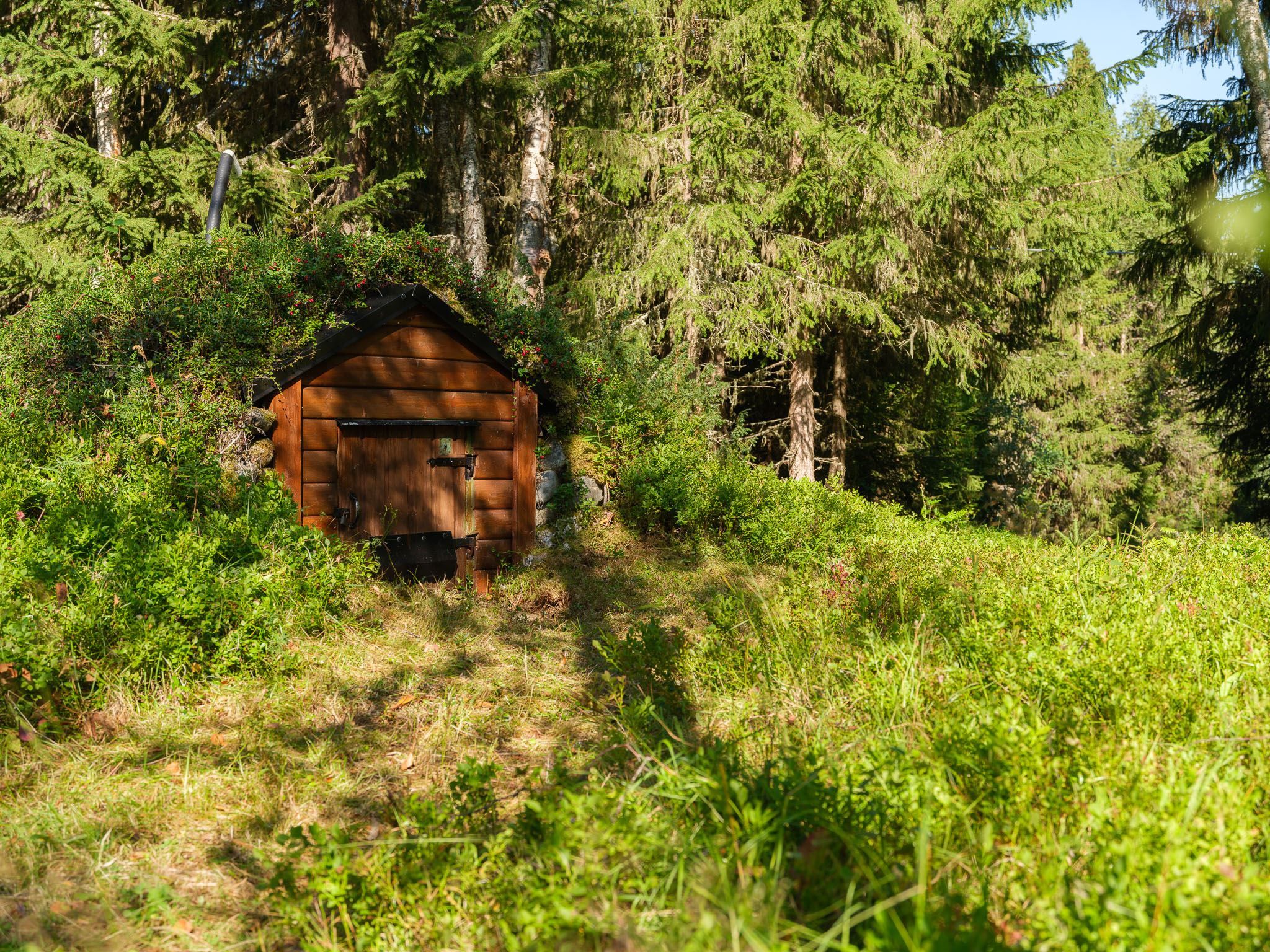 35 Jordkällare