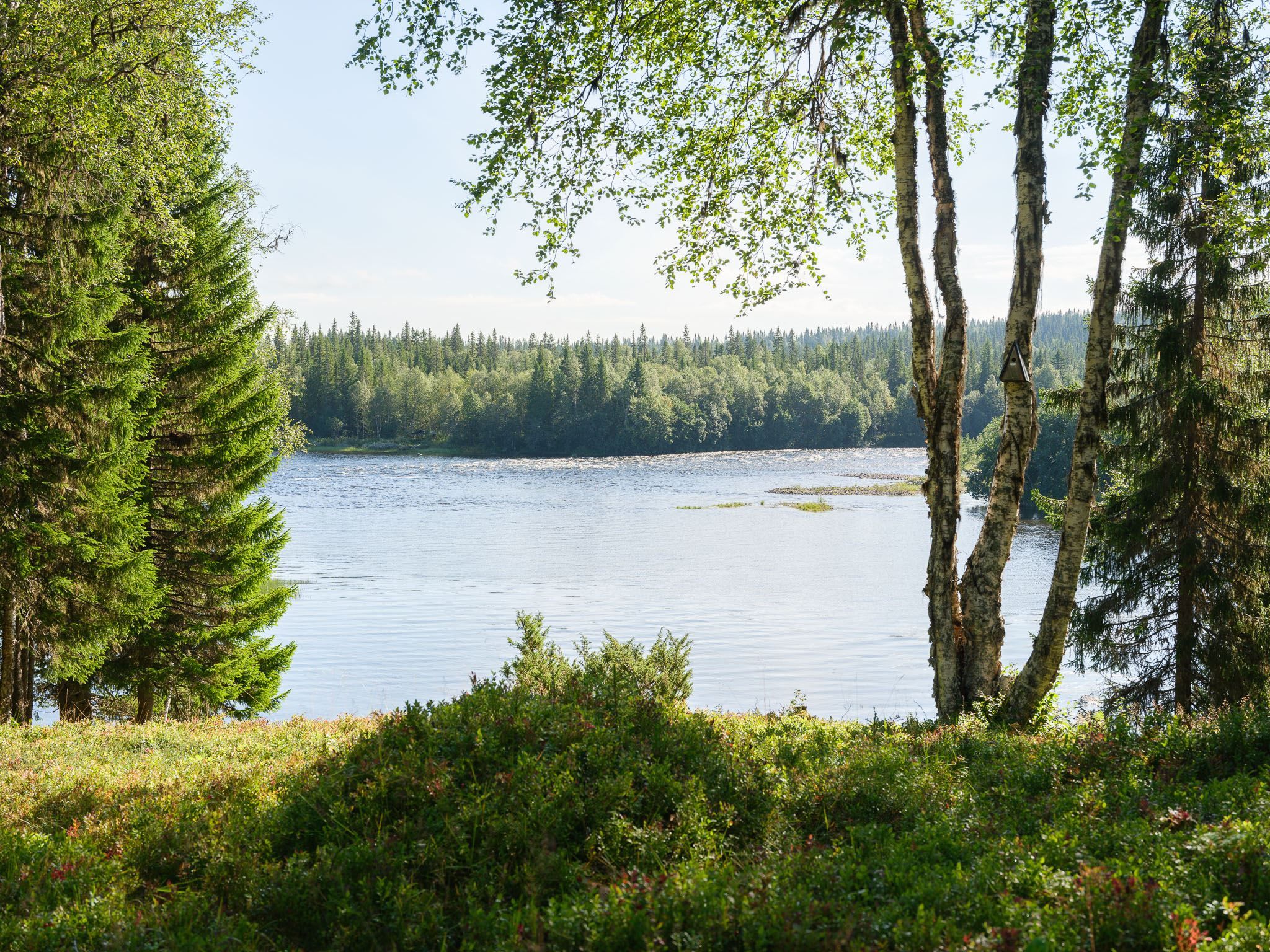 9 Utsikt över älven