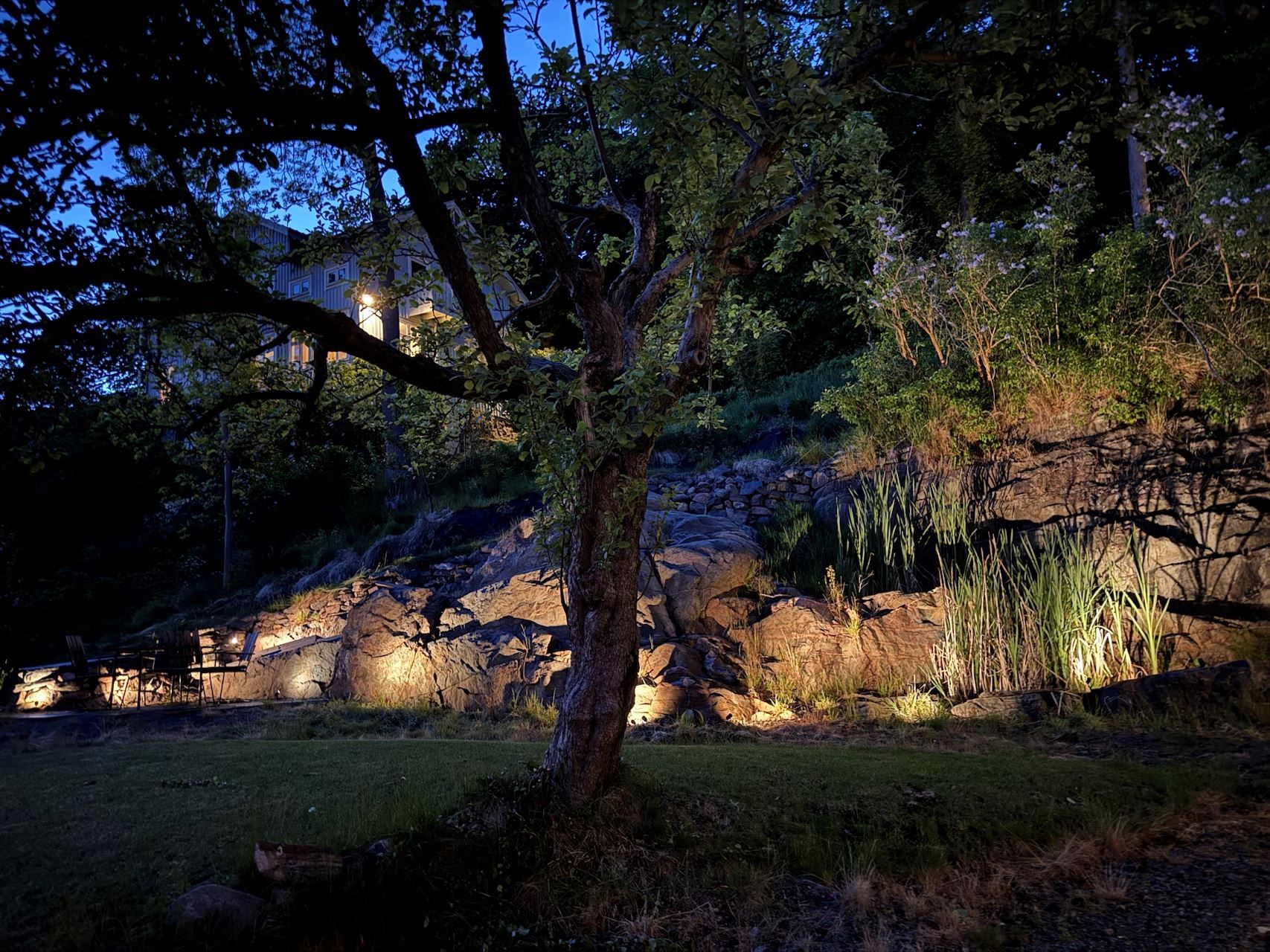 Den belysta trädgården kvällstid.