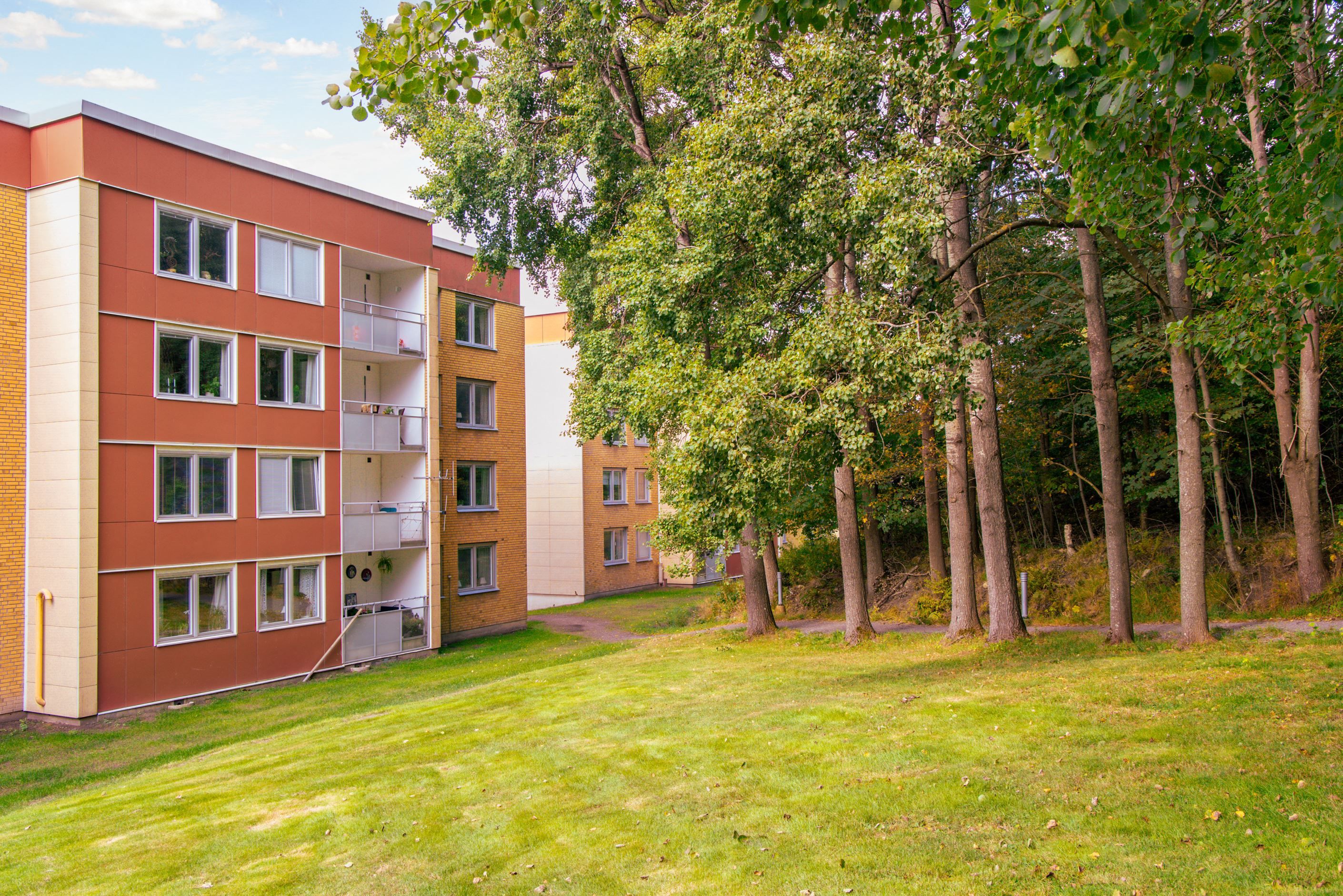 Föreningen ligger med naturen som närmsta granne.