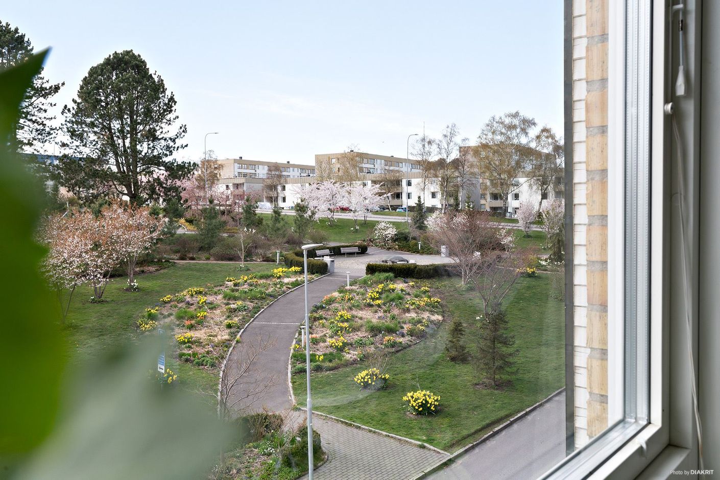 Parken utanför blir en härlig uteplats.