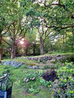 Säljarens sommarbild baksidan.