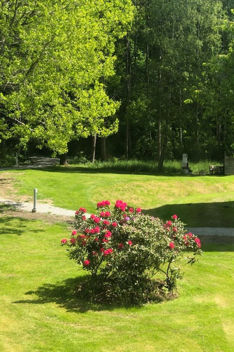 Utsikt från köksfönstret (säljarens bild).