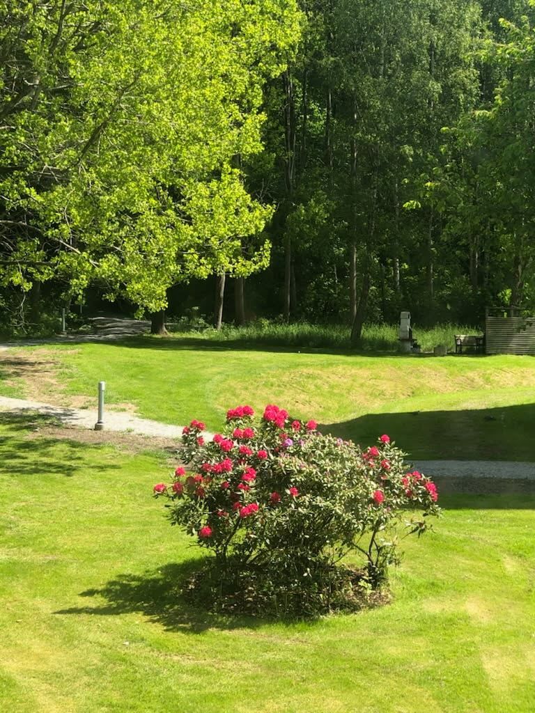 Utsikt från köksfönstret (säljarens bild).