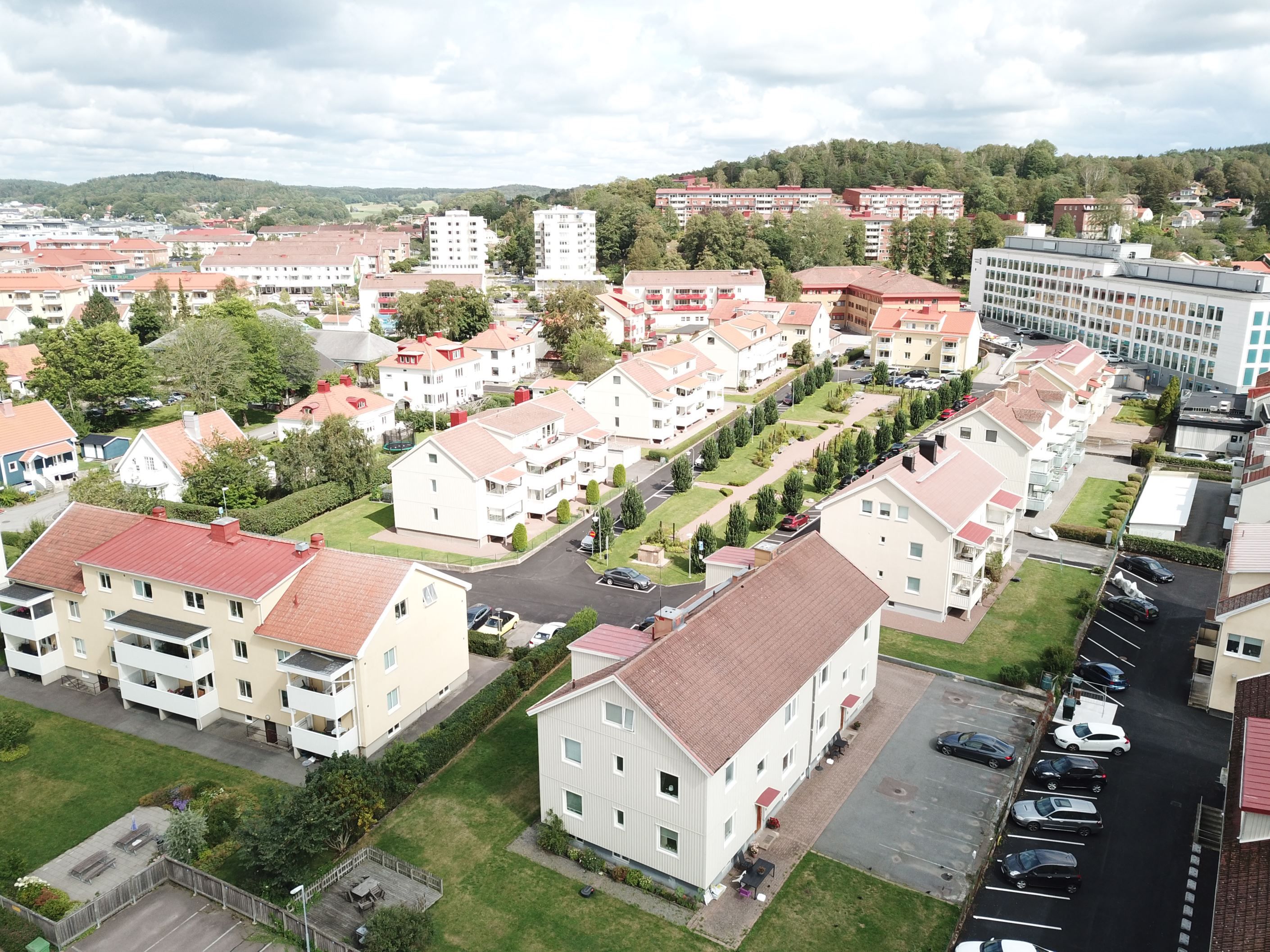 Välkomna till lugna Rådmansparken.