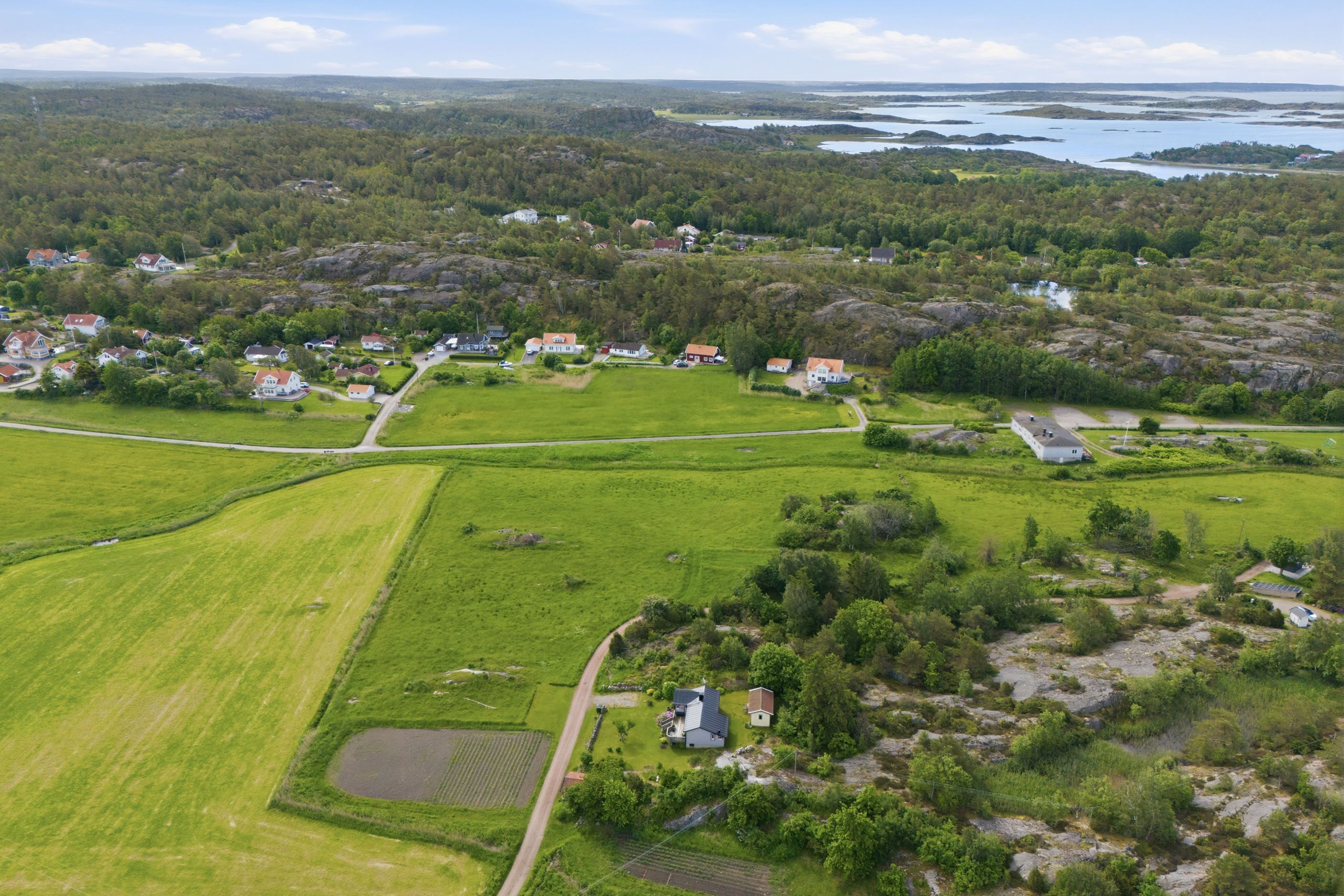 Bildkategori