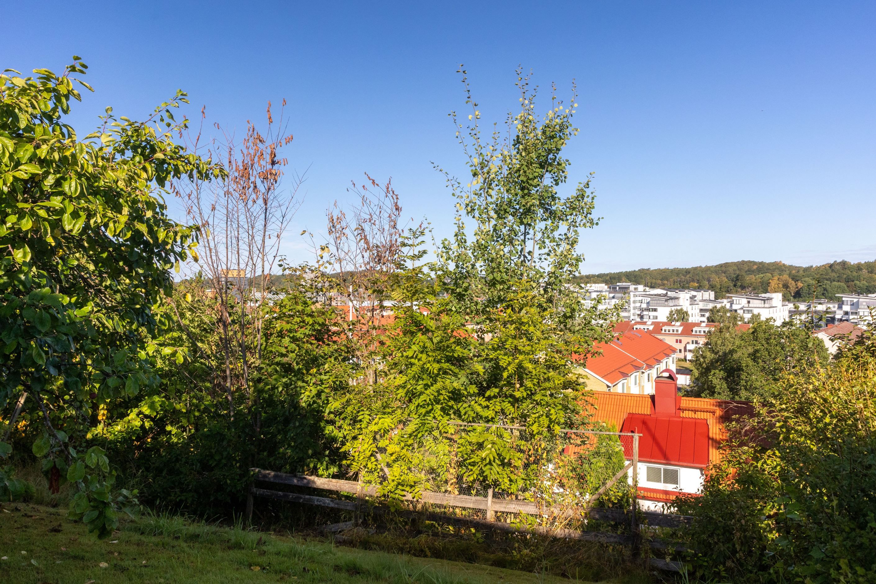 Bildkategori