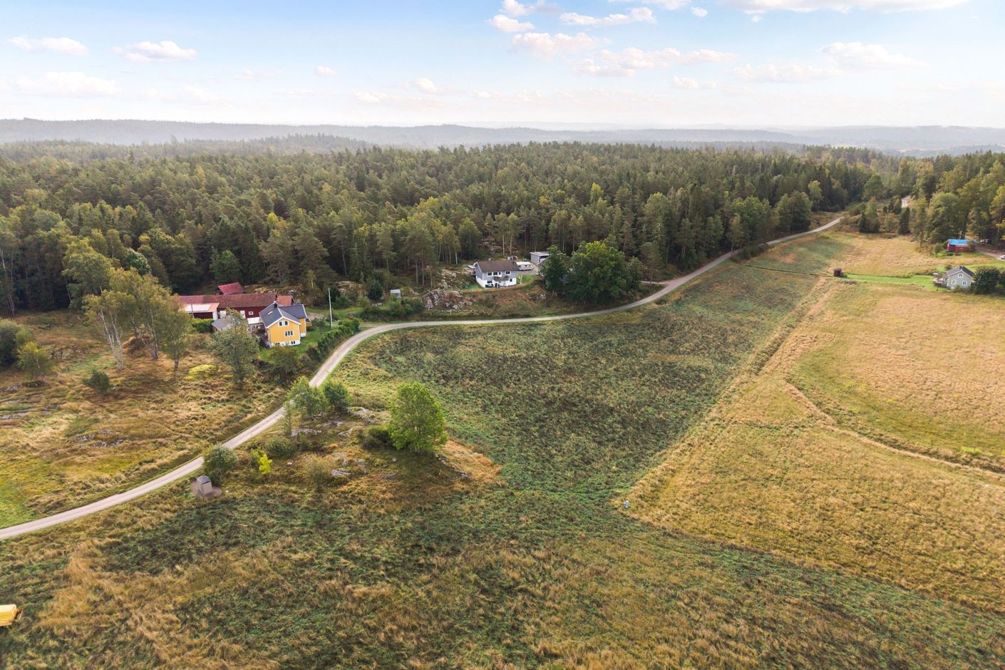 Bildkategori