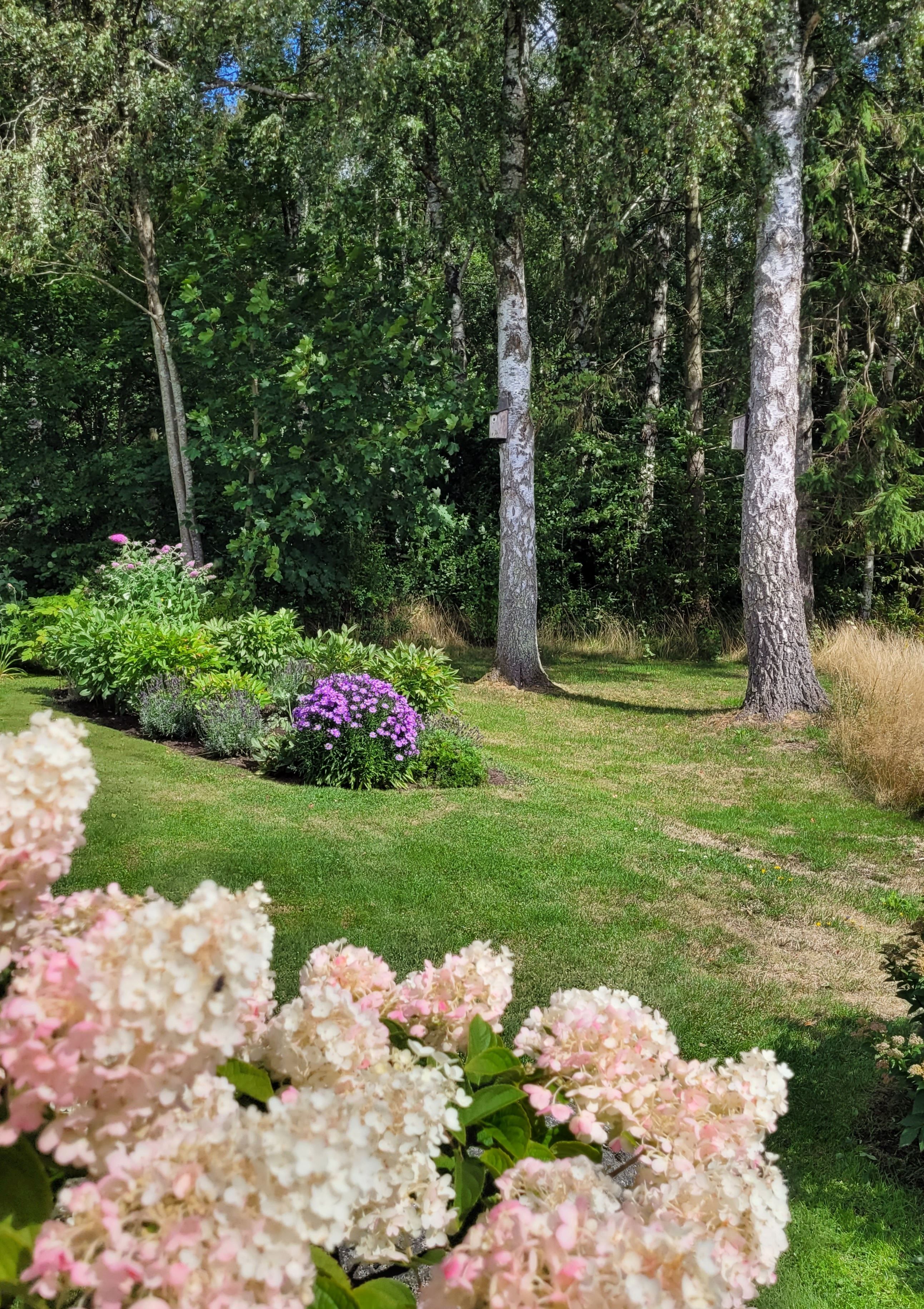 Härliga planteringar. (säljarens bild)