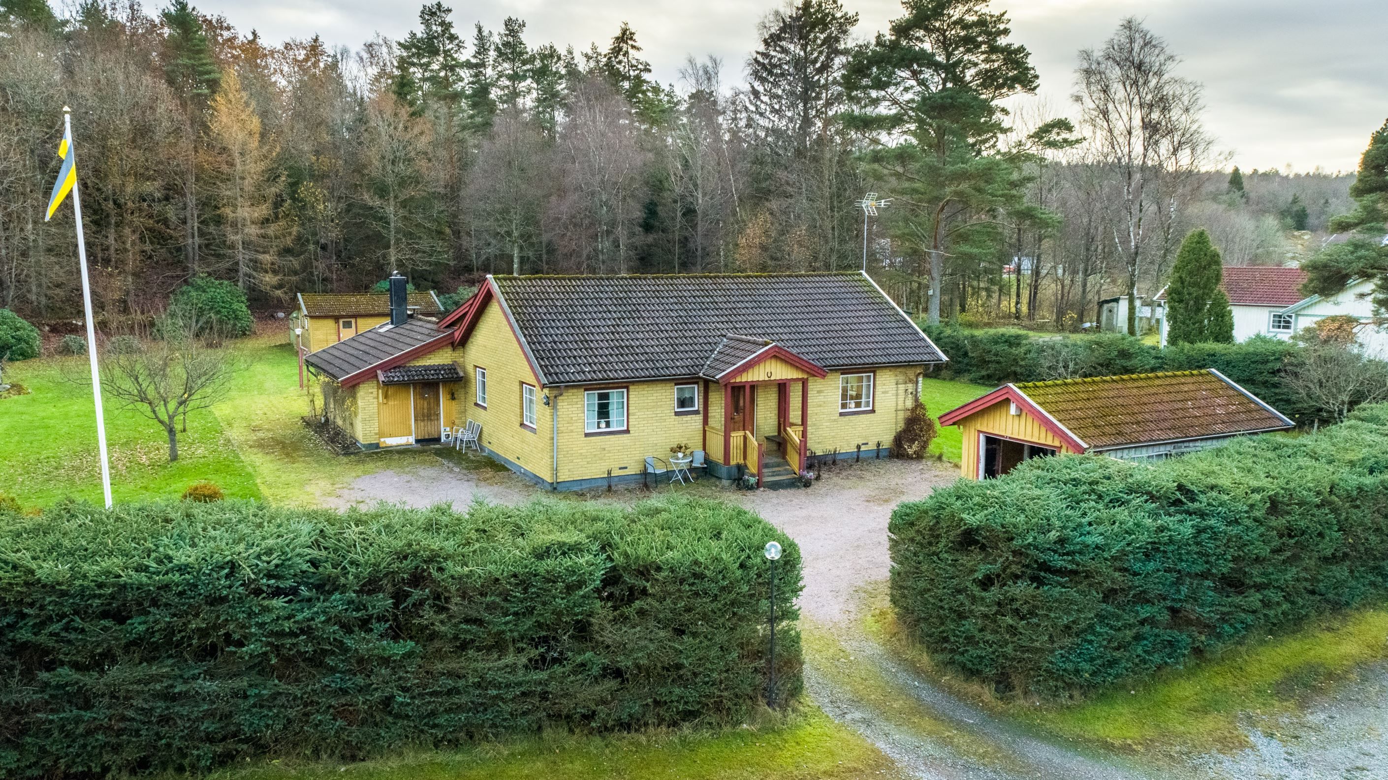 Exteriör