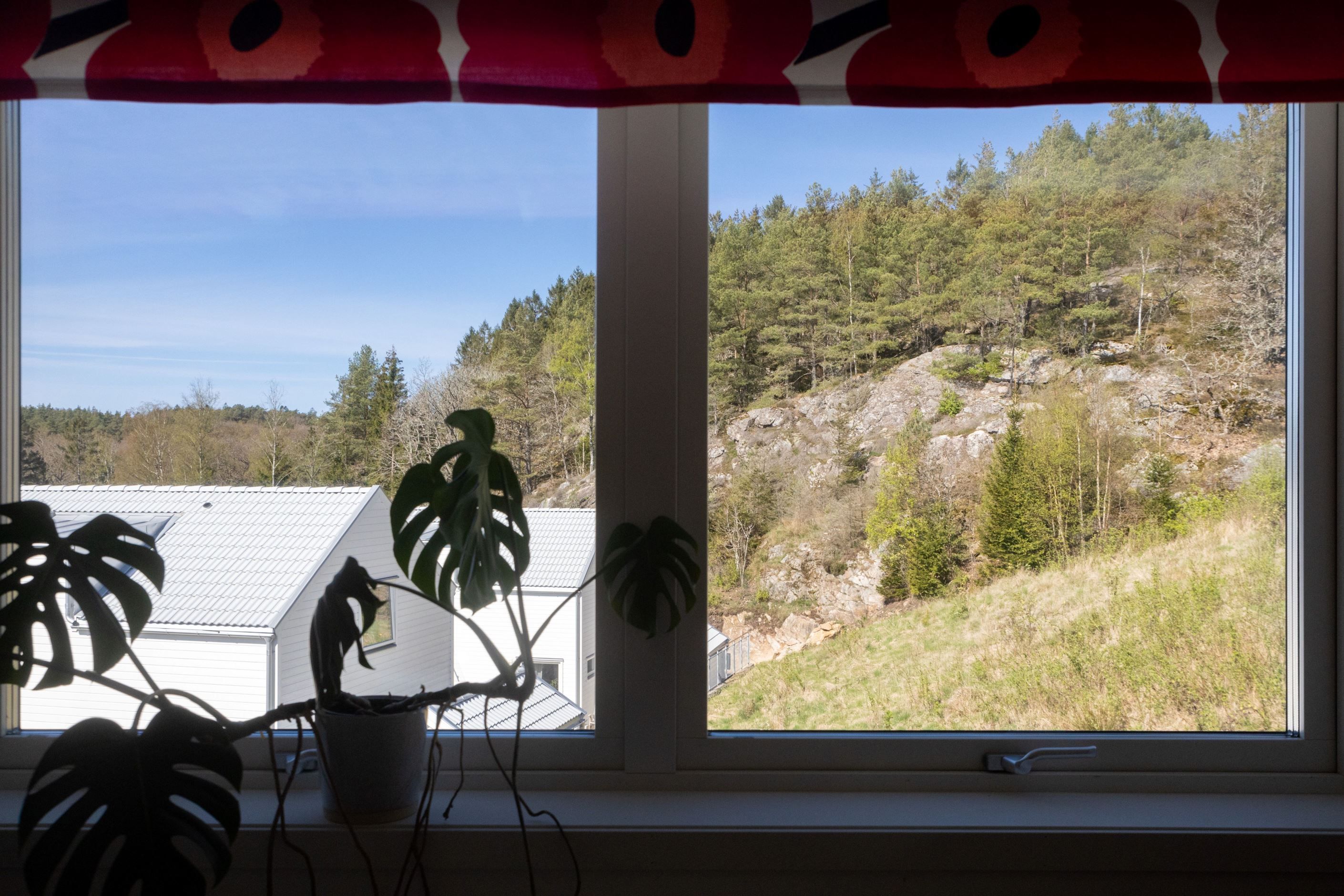Områdesbild