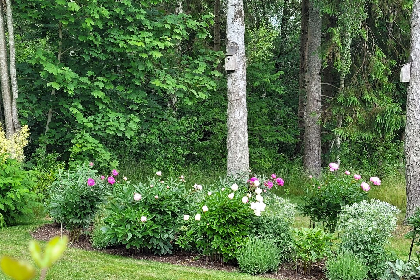 Här finns en underbar trädgård. (säljarens bild)