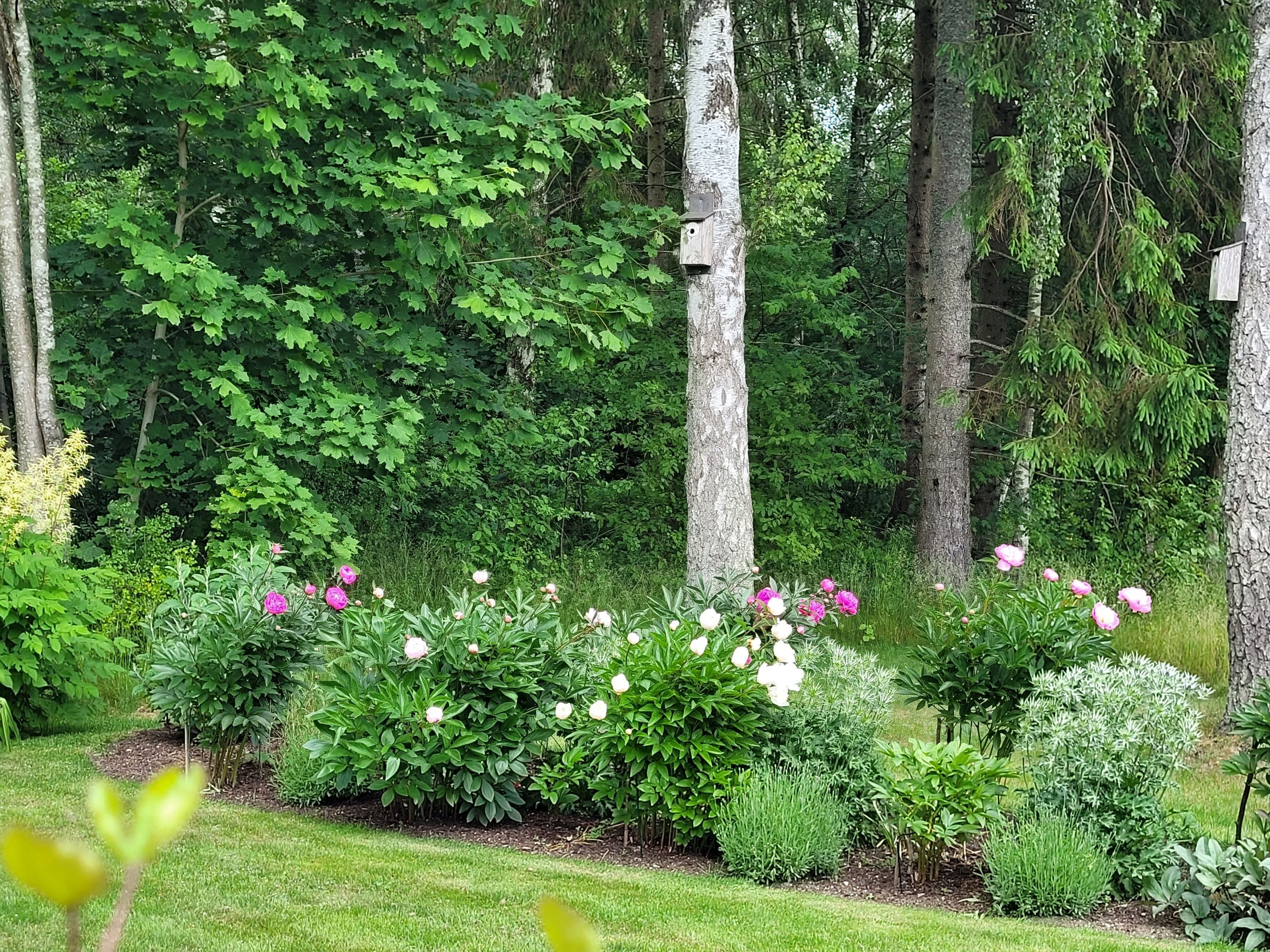 Här finns en underbar trädgård. (säljarens bild)