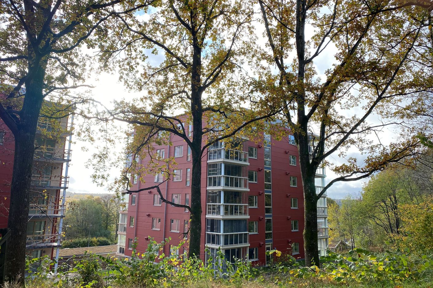 Fina nybyggda hus.