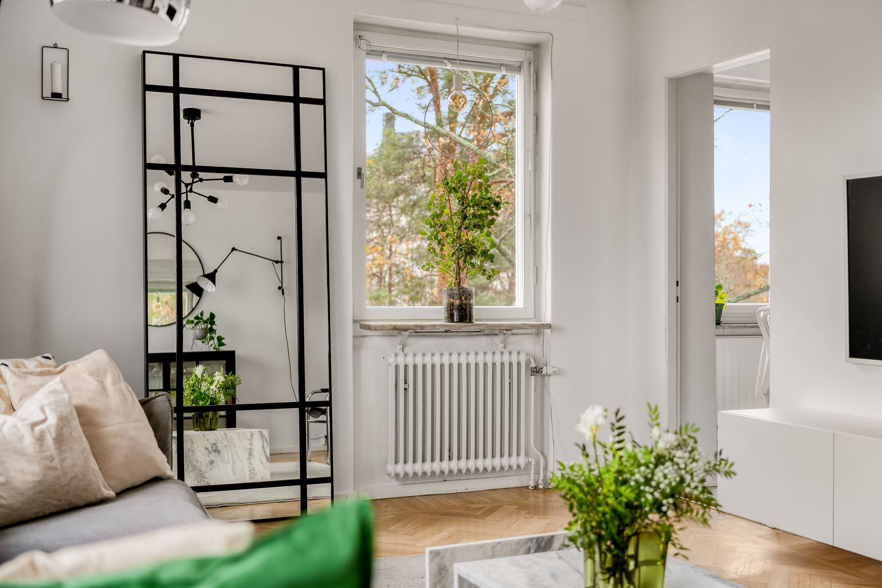 Fönster mot lugn park