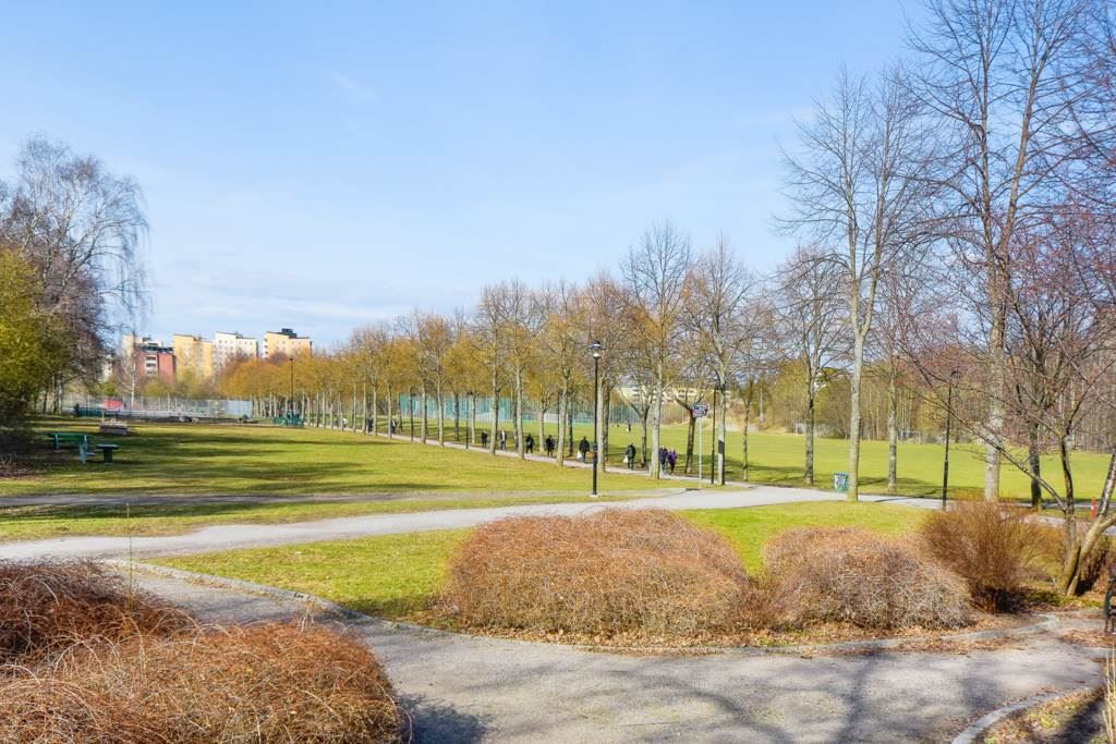 Lågupplöst På några minuter nås Huvudstafältet