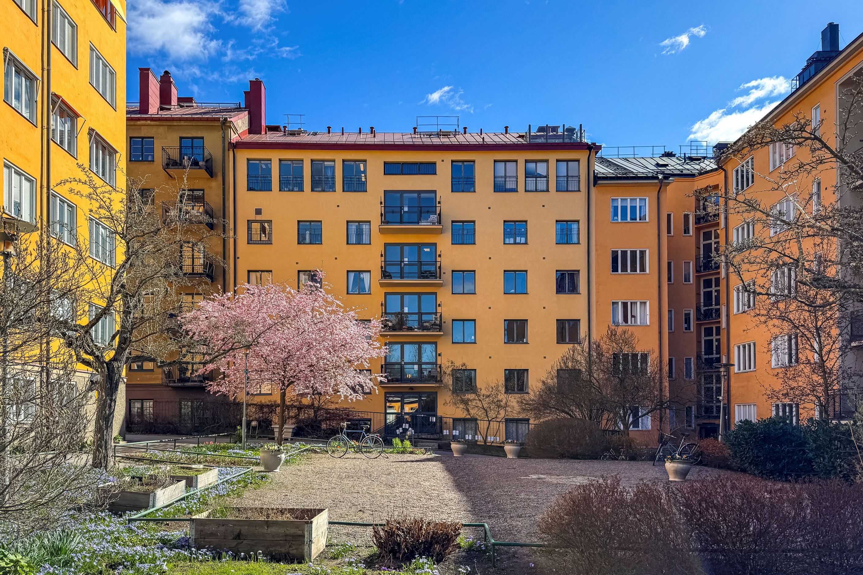 Föreningens mysiga innergård
