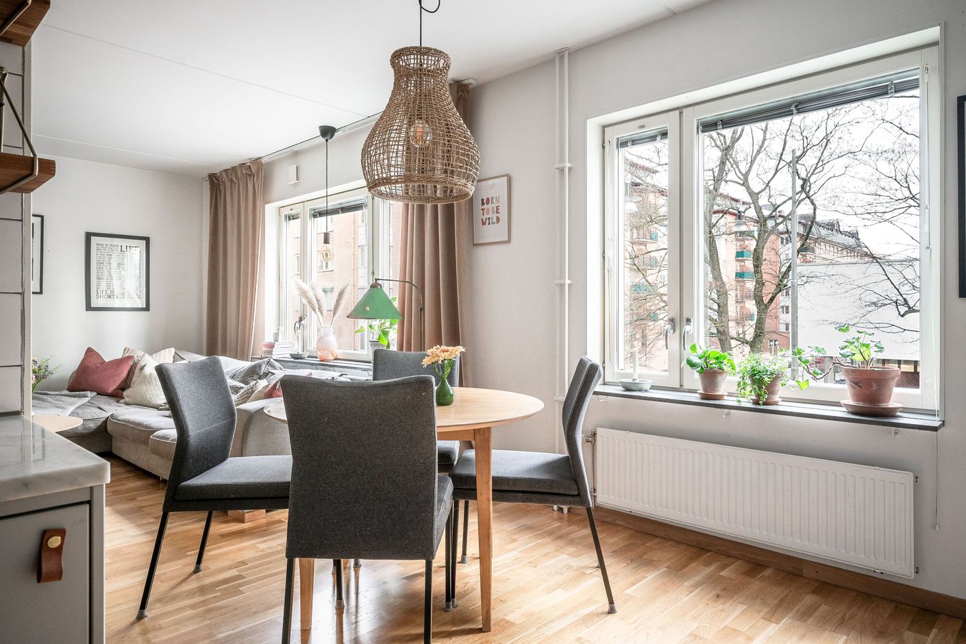 Fri utsikt med vackra träd utanför