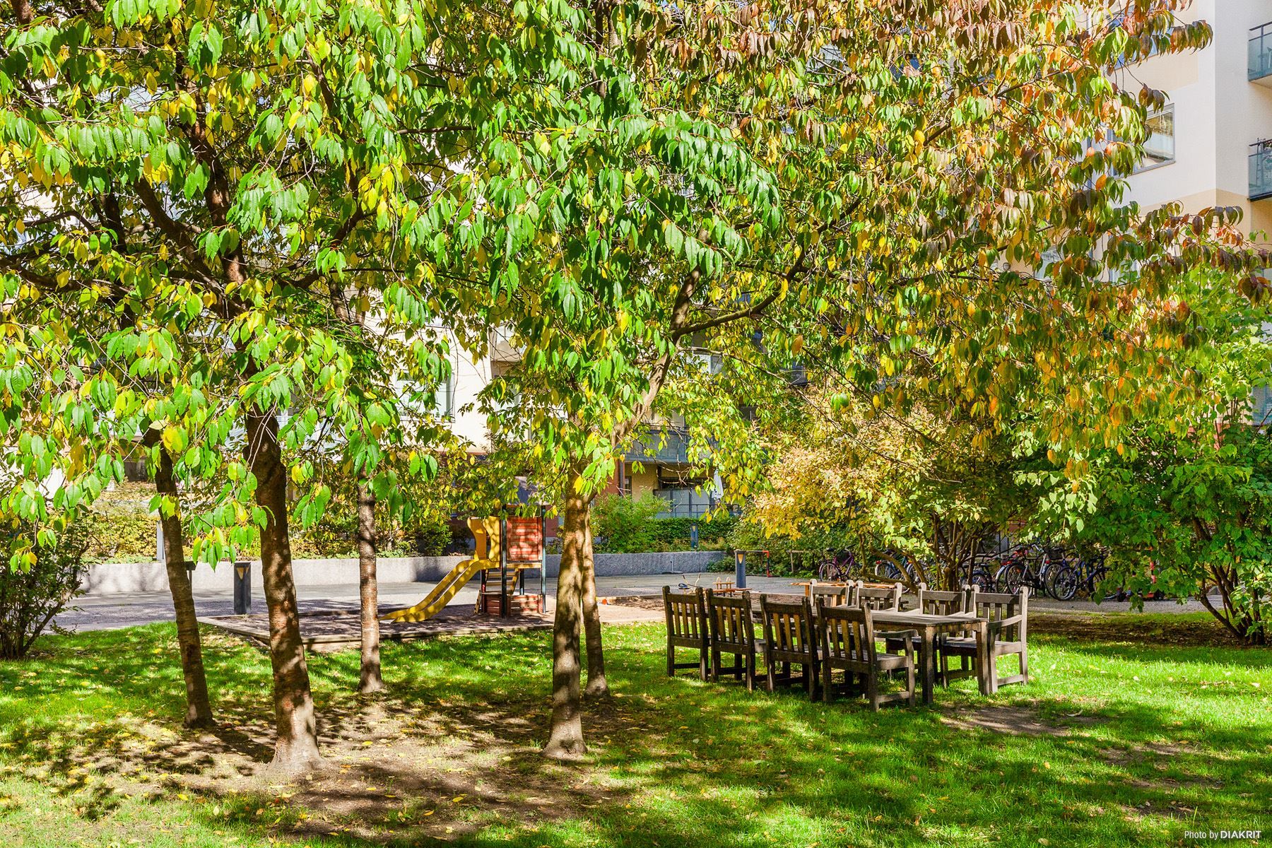 Mysiga sittgrupper på gården