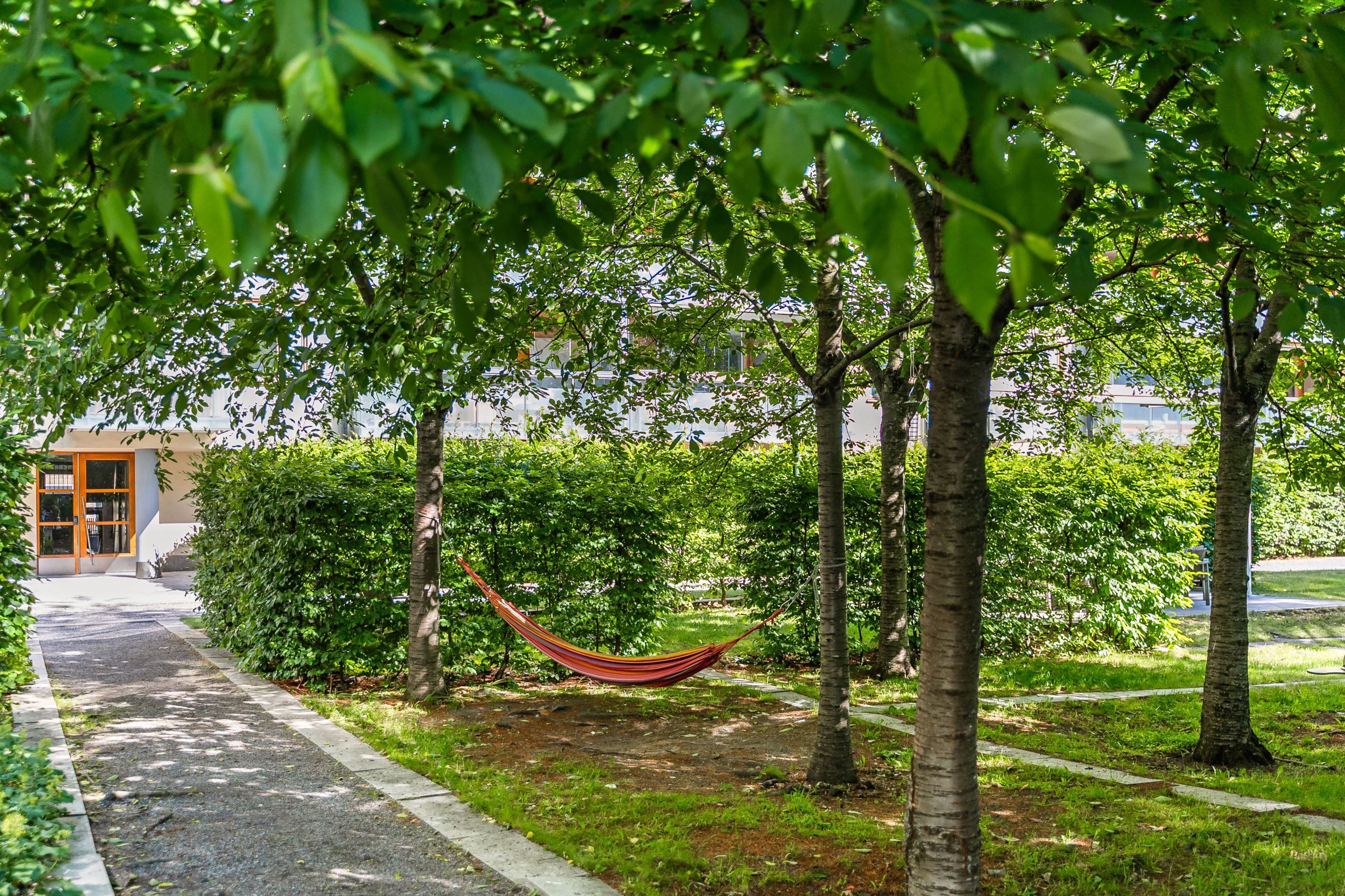 Avkopplande plats - hängmatta under träden på gården