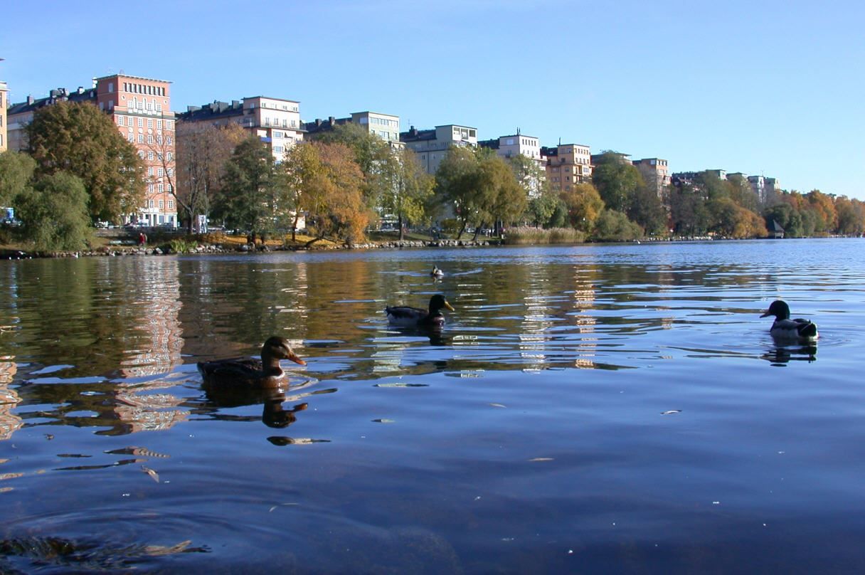 Vy, Norr Mälarstrand