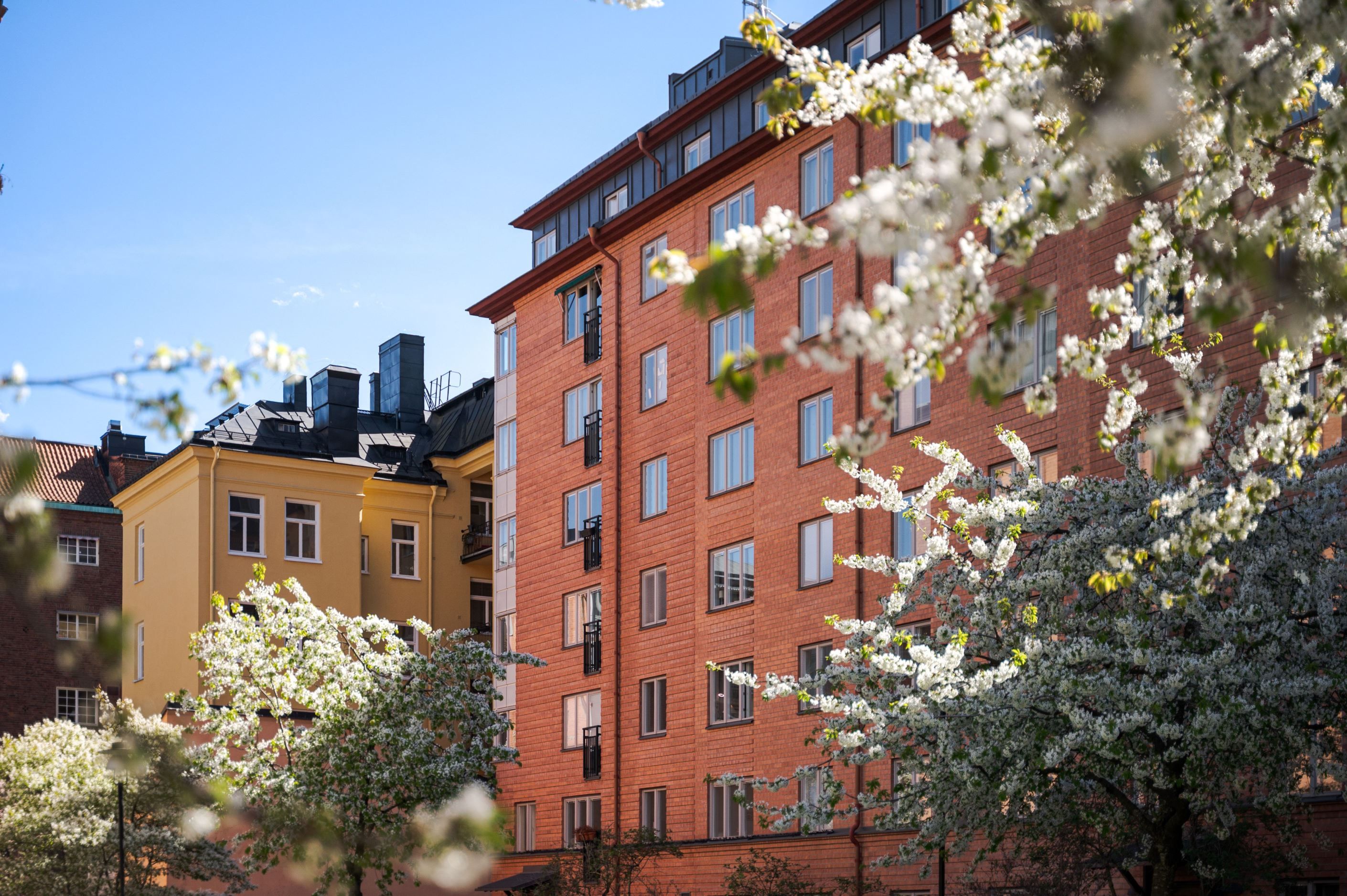 Vy upp mot lägenheten från gården