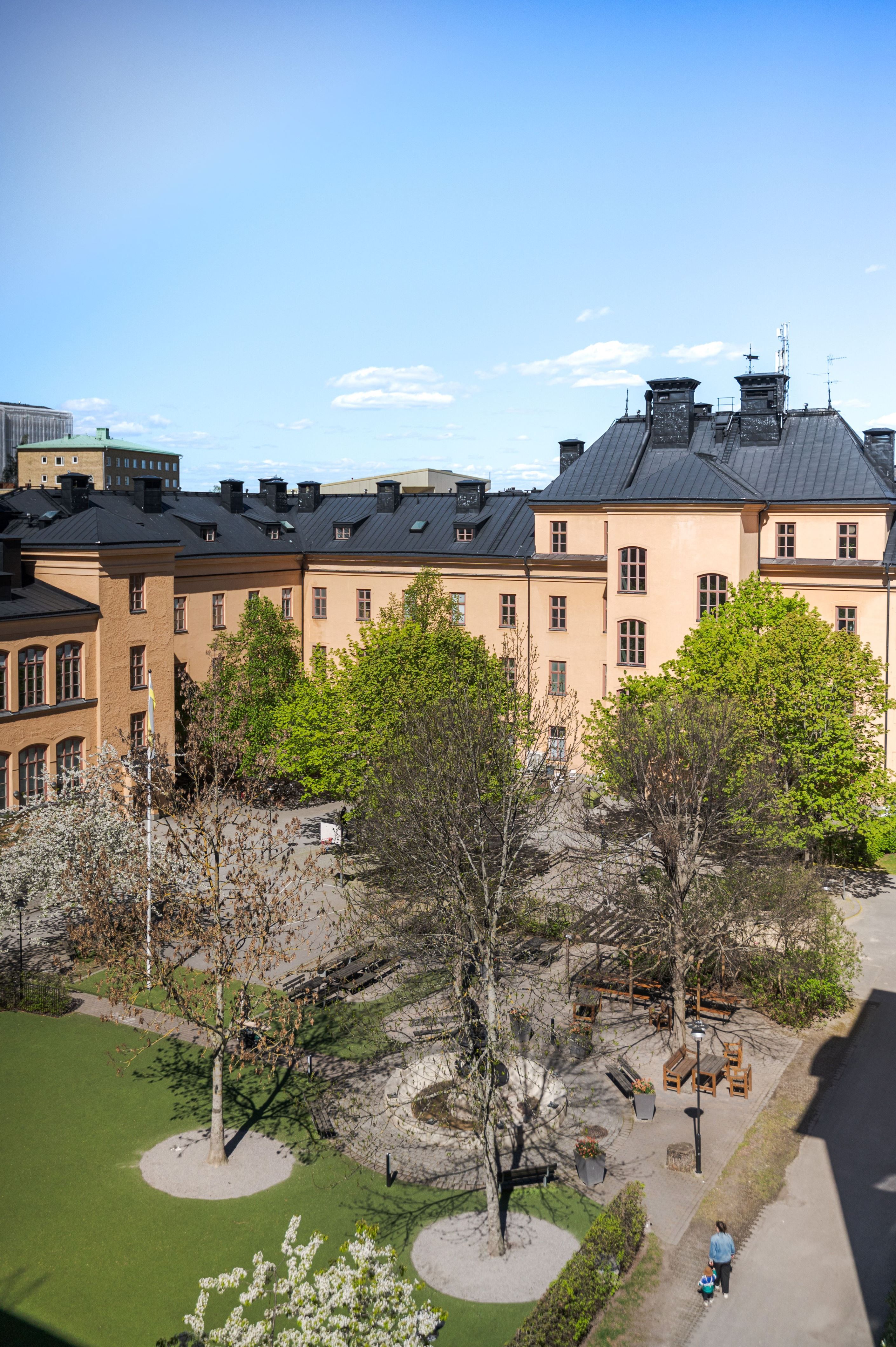 Fri utsikt mot föreningens härliga innergård från köksfönstret