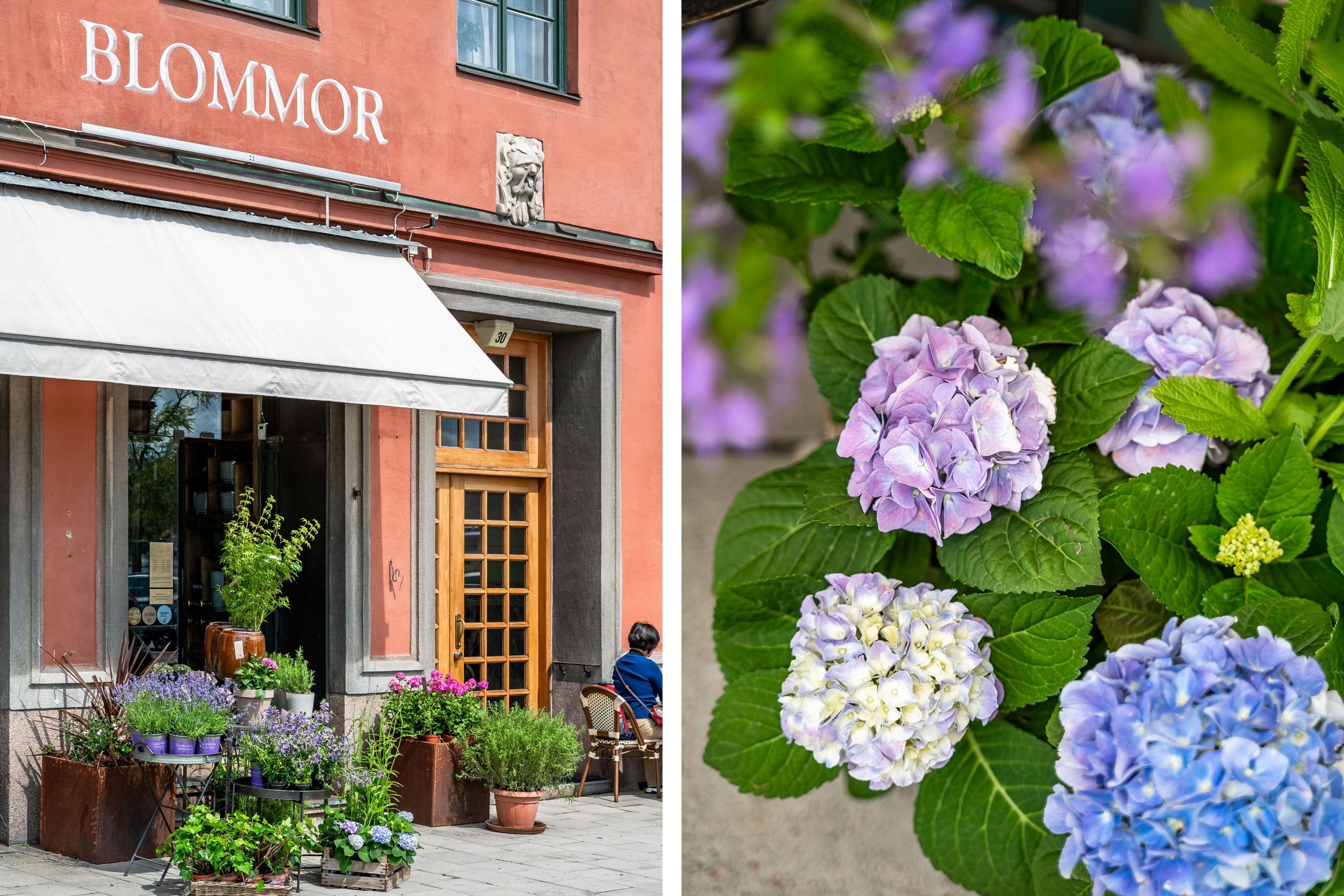 Omgivningar - Blomsterhandel på Norr Mälarstrand