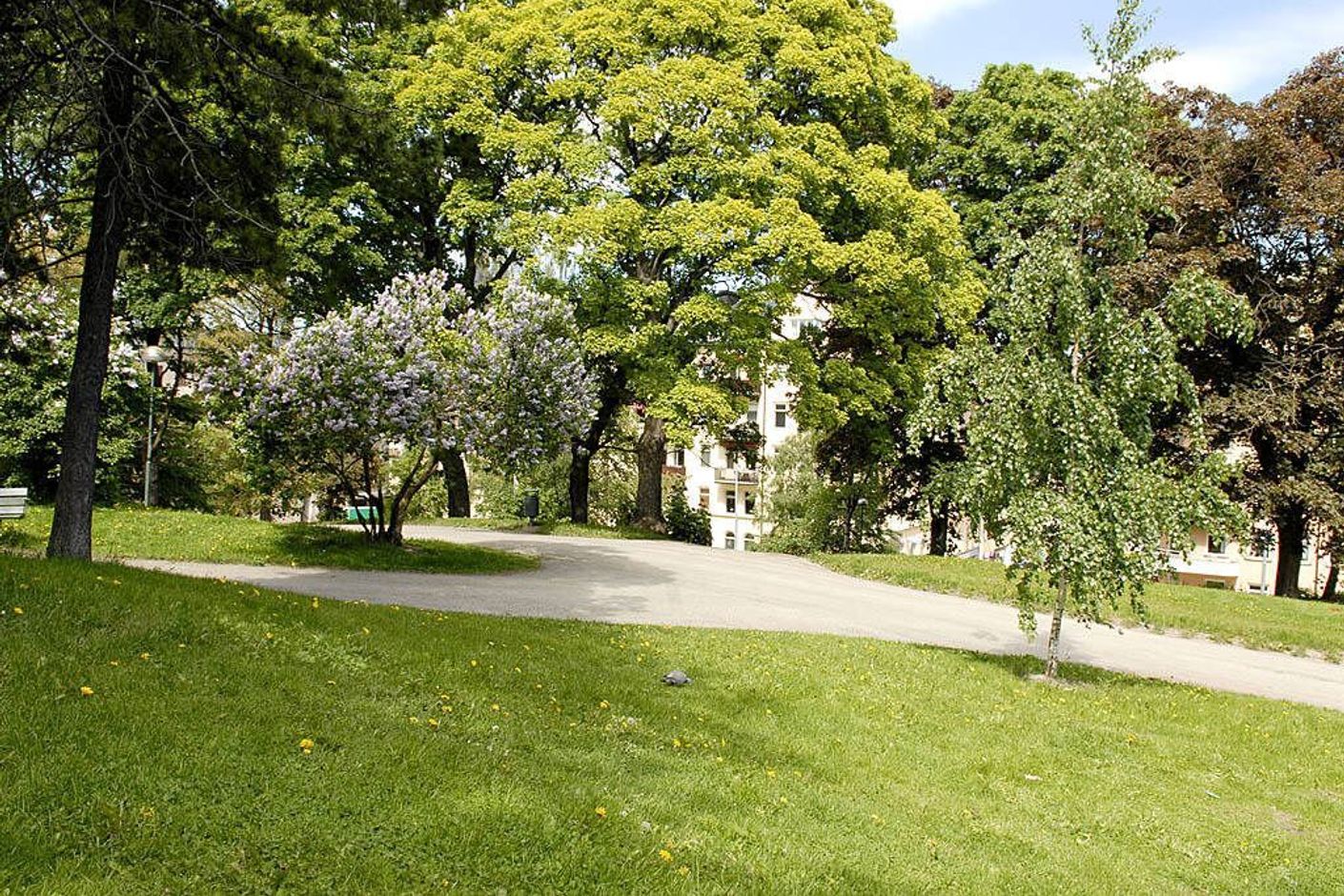 Närmsta granne med Kronobergsparken