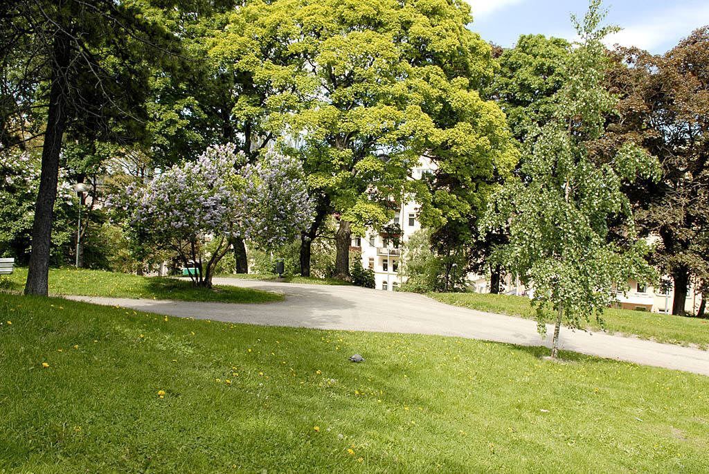 Närmsta granne med Kronobergsparken