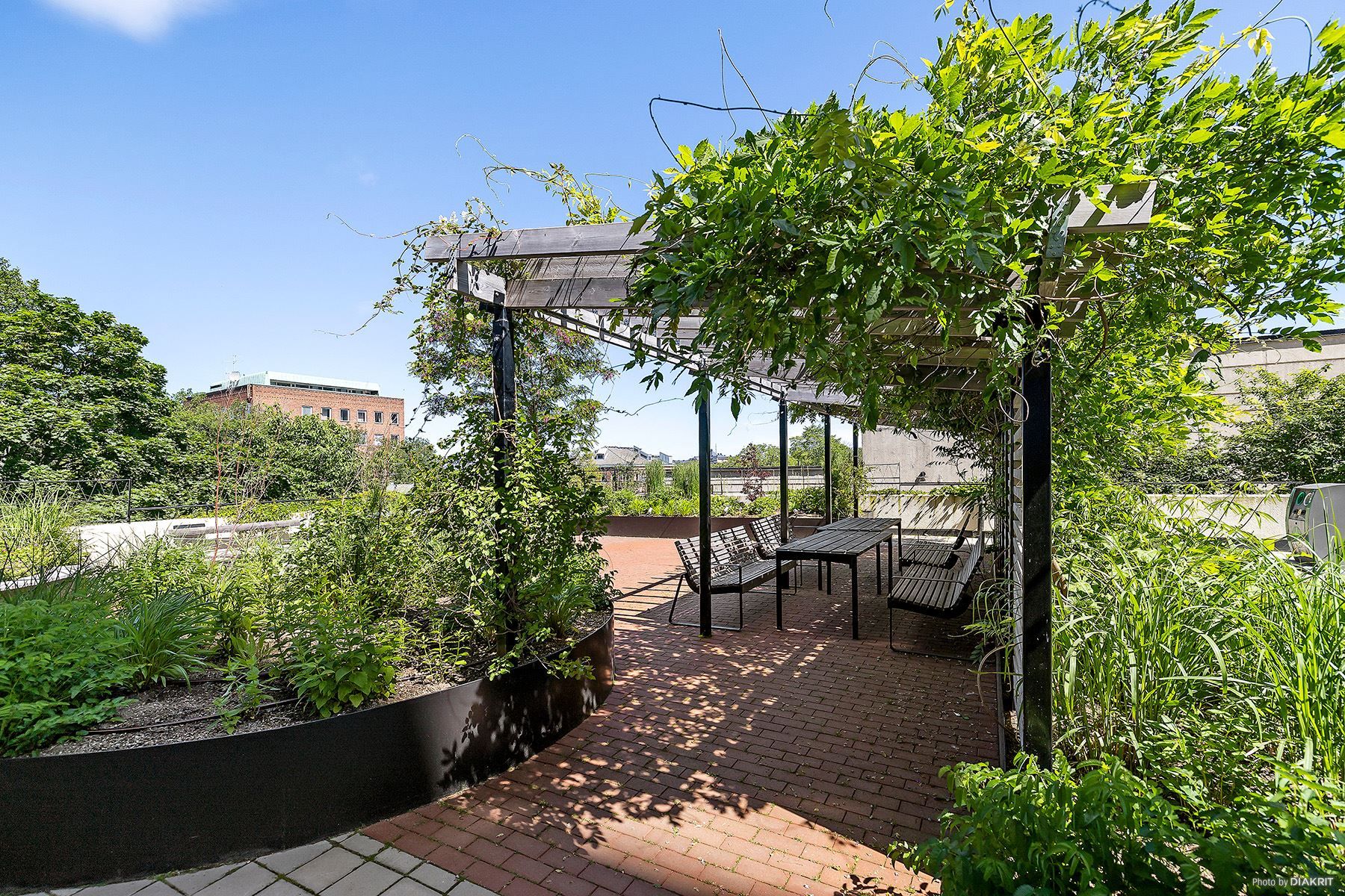 Föreningens pergola