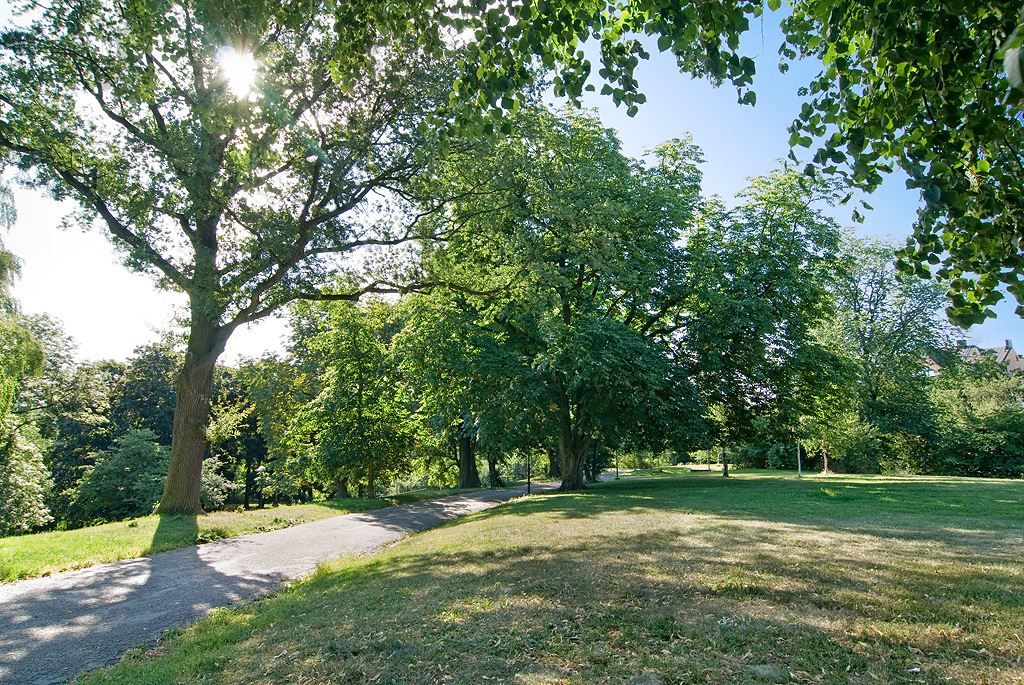Omgivningar - Kronobergsparken