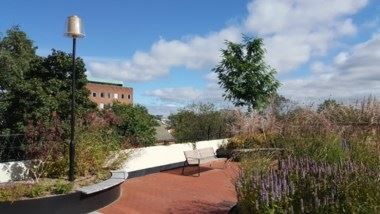 Föreningens pergola