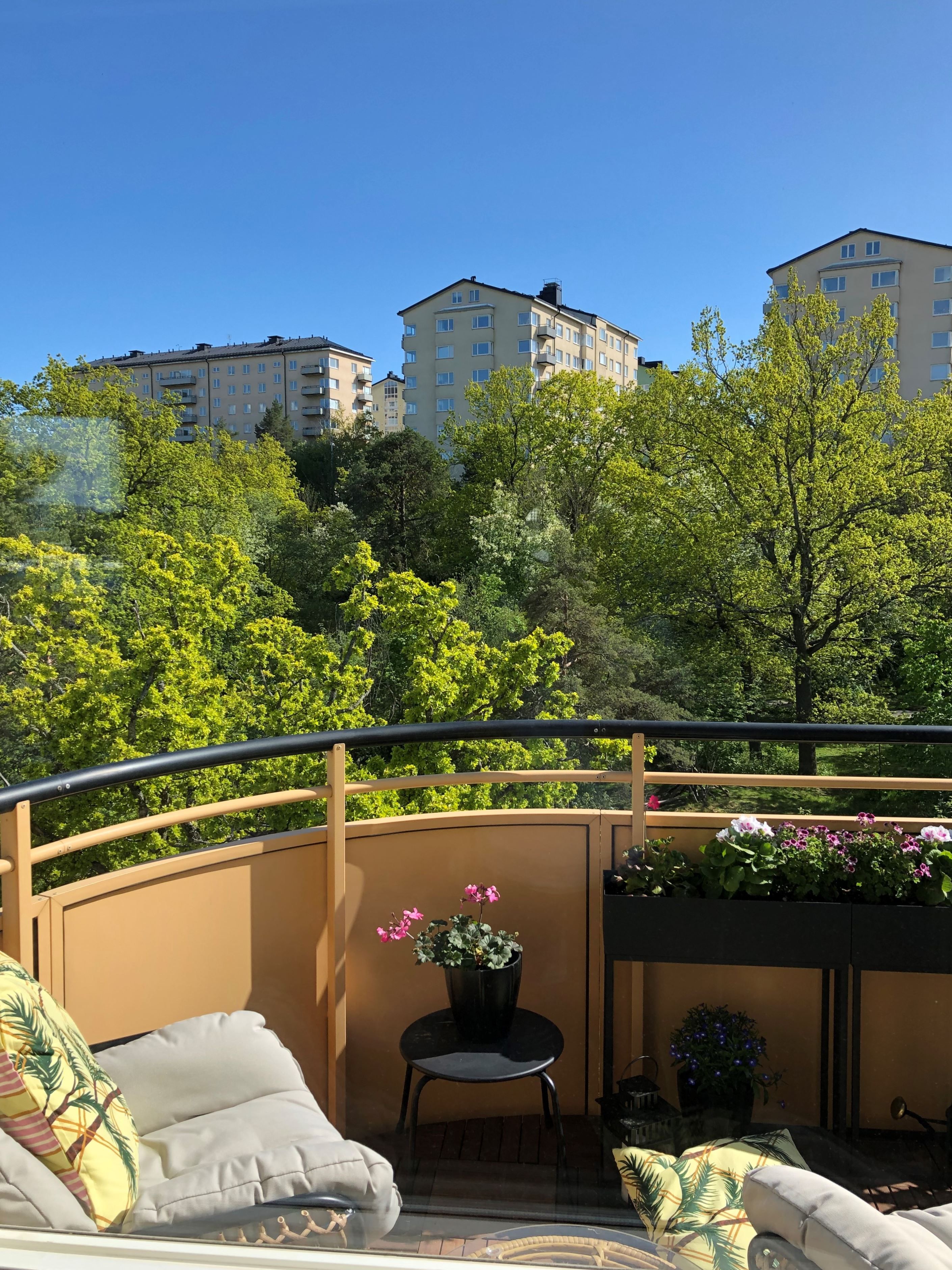 Säljarens egna bild från sommaren