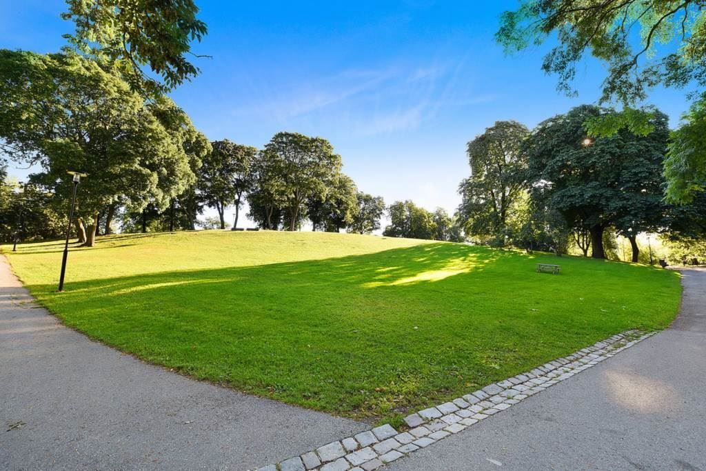 Omgivningar - Kronobergsparken