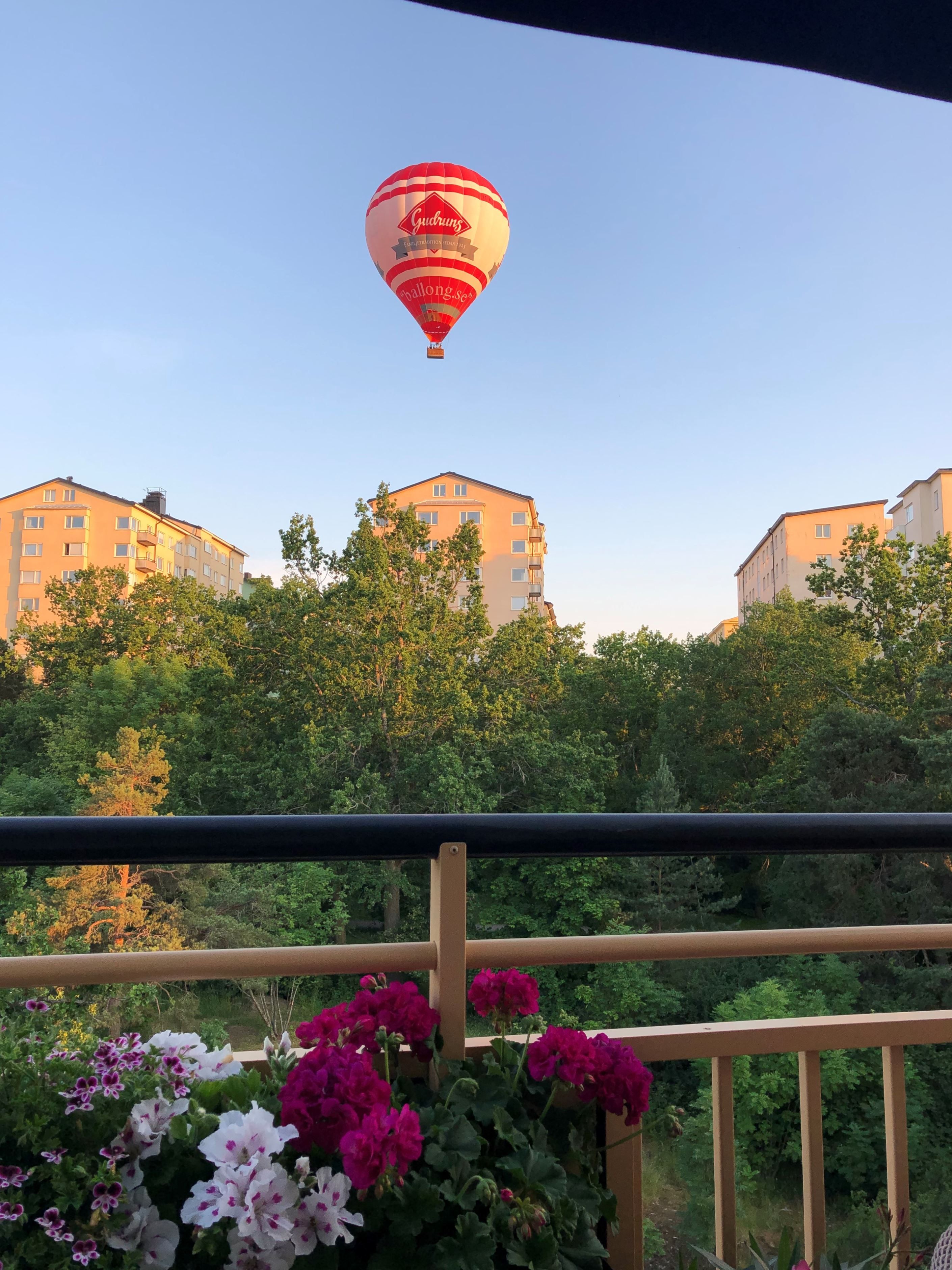 Säljarens egna bild från sommaren