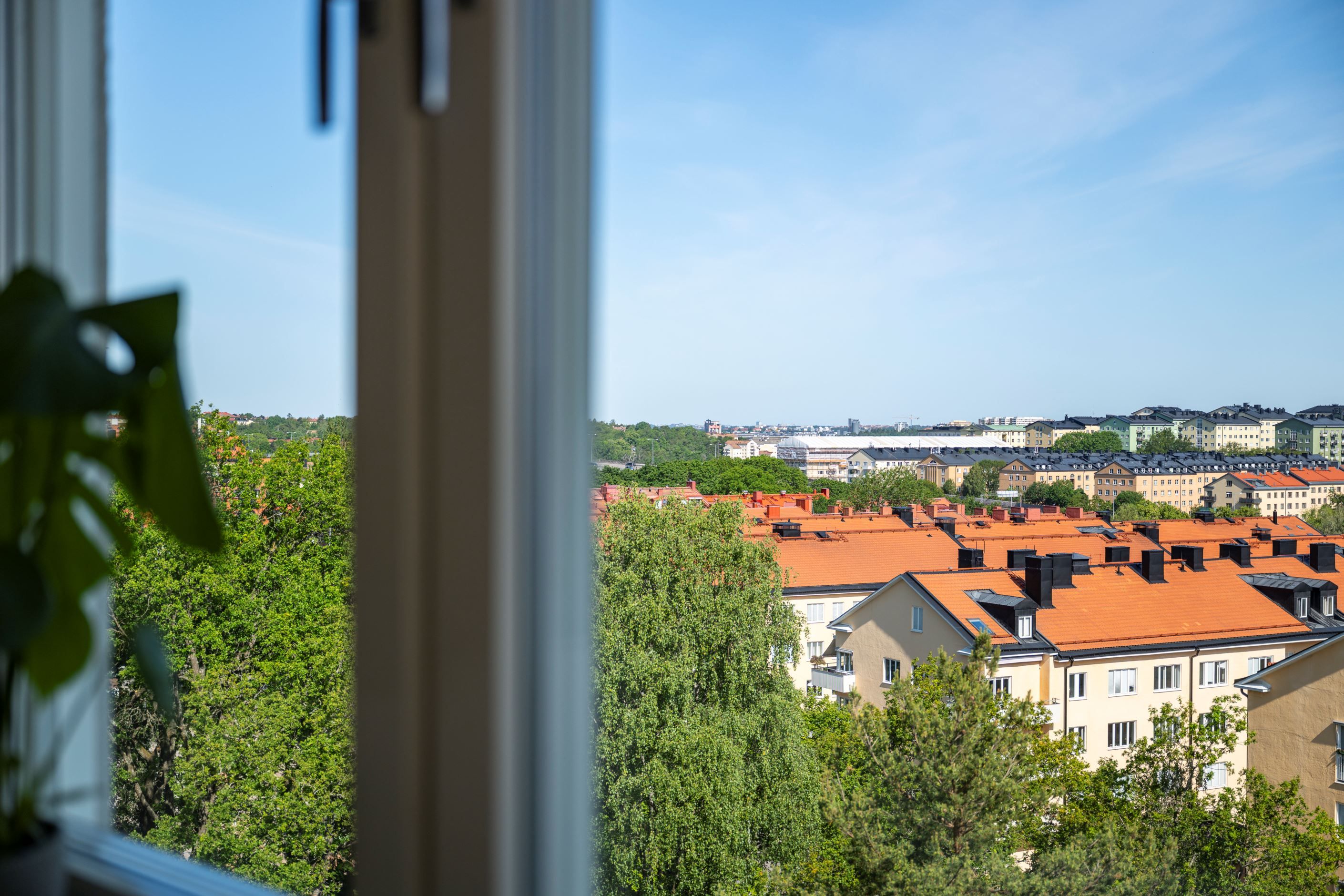 Utsikt över grönska och takåsar från vardagsrummet