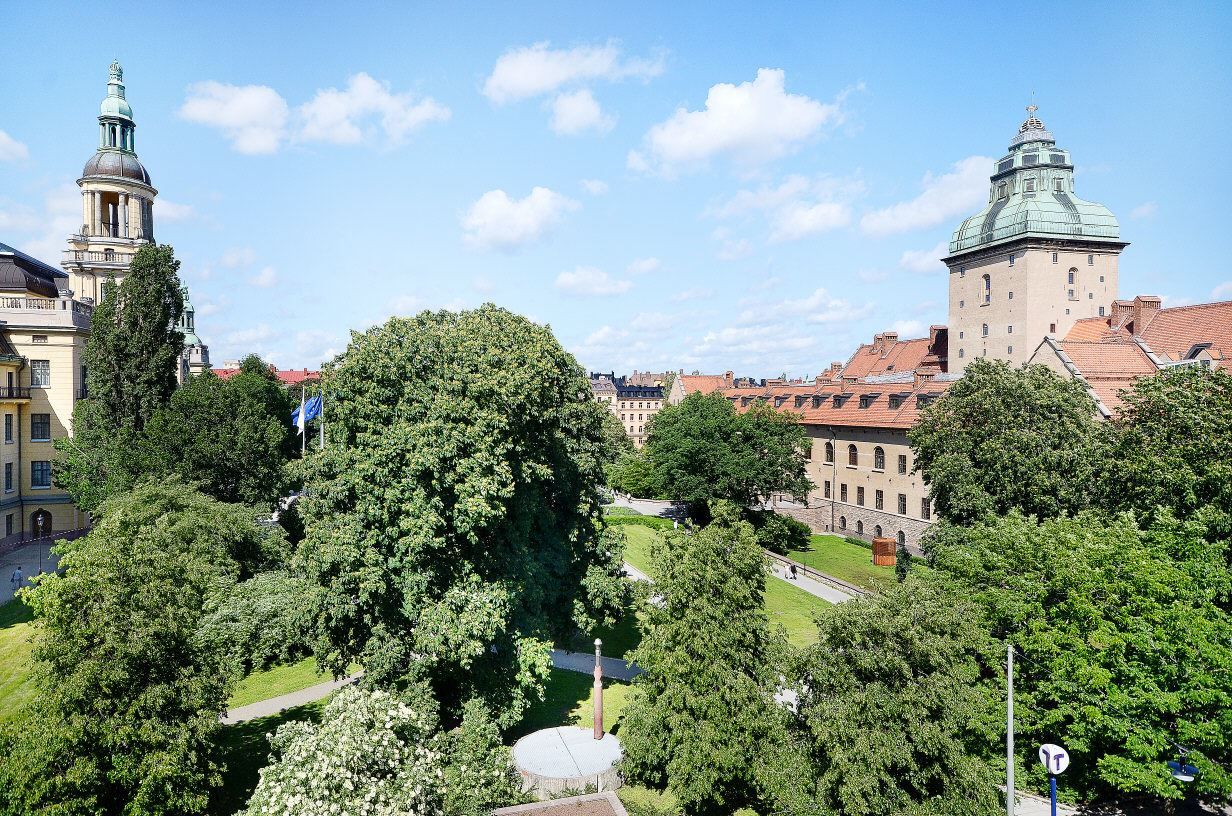 Rådhusparken
