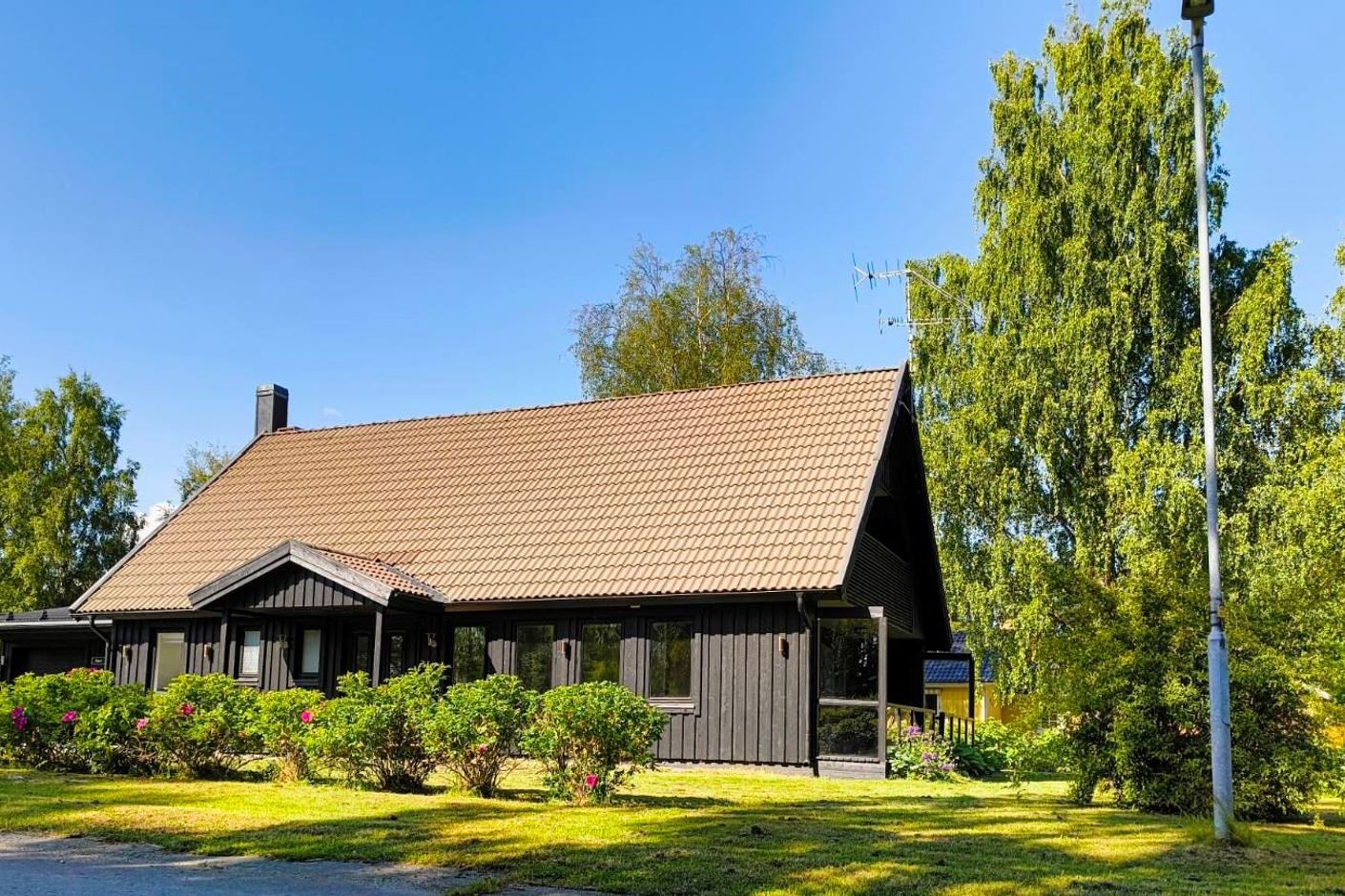 Exteriör