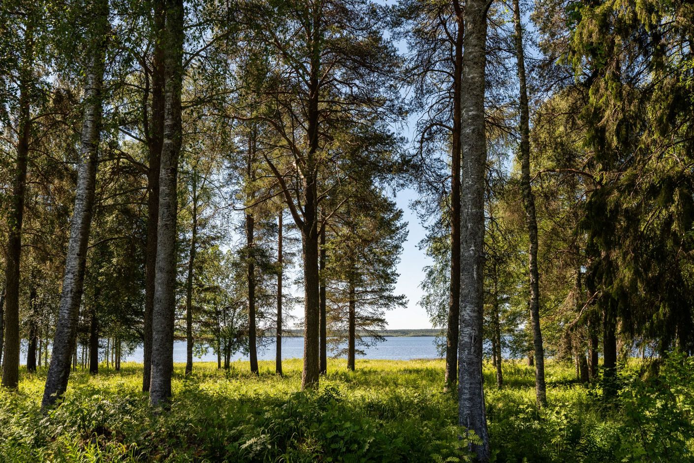 Områdesbild