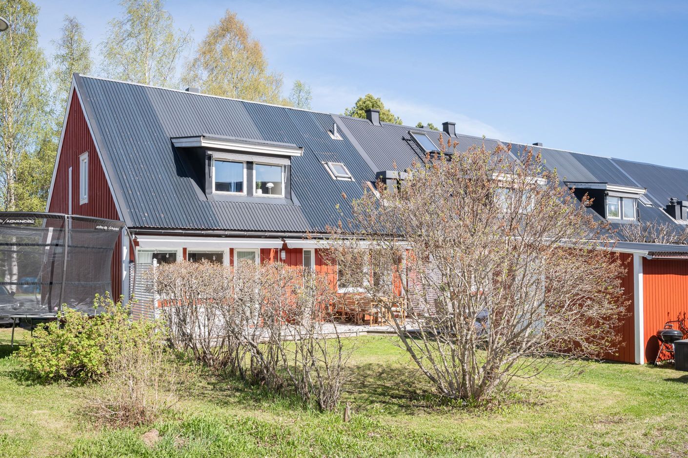 Exteriör