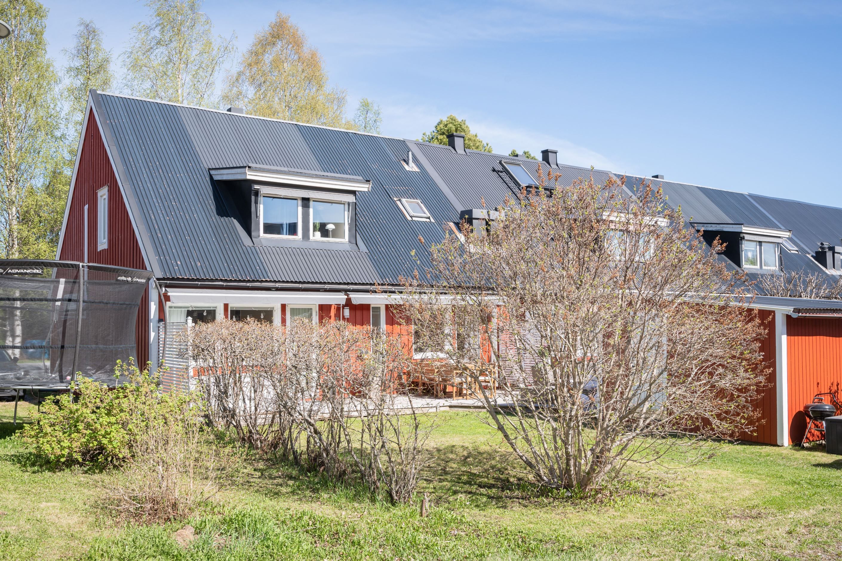 Exteriör