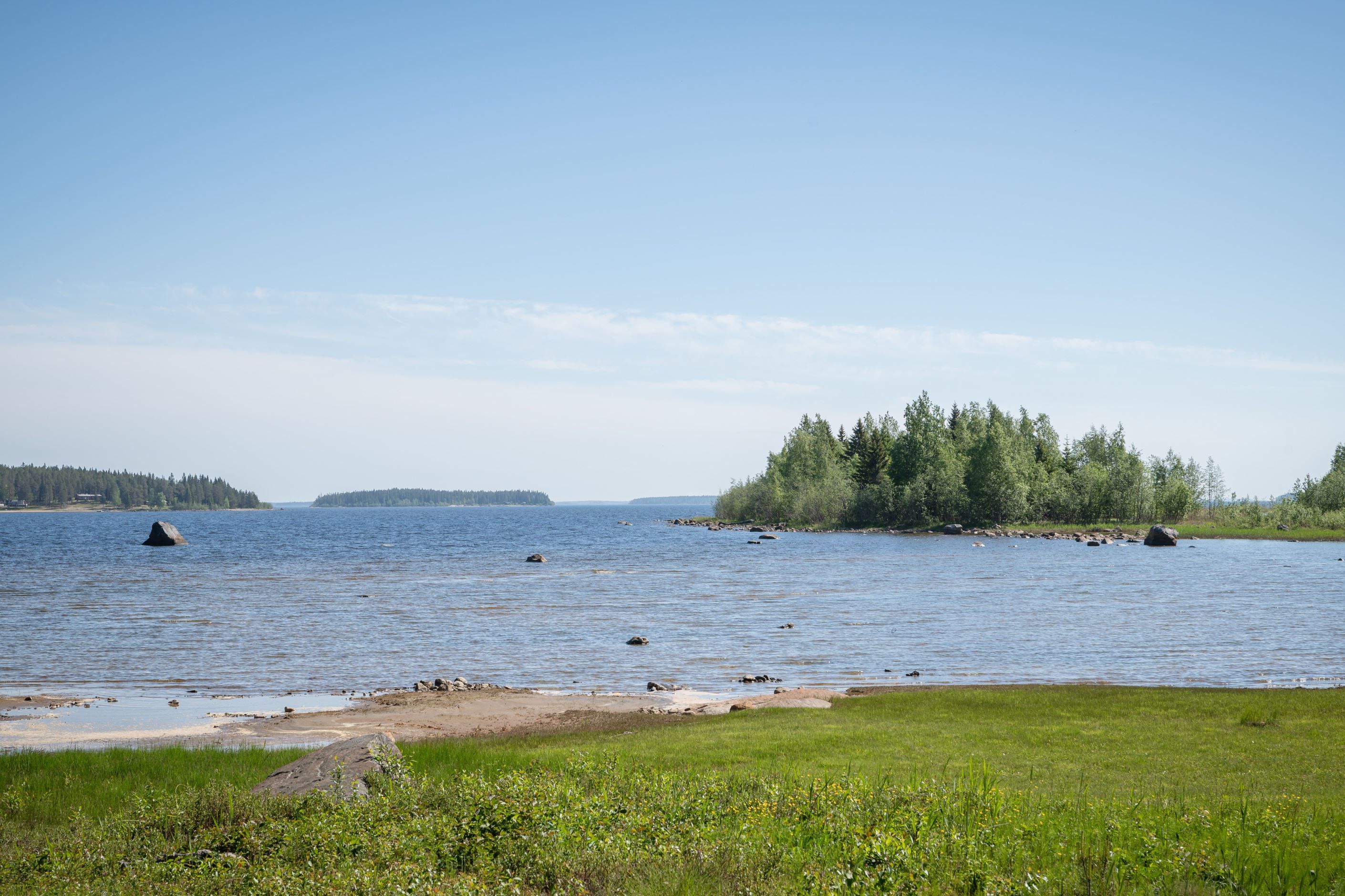 Bildkategori